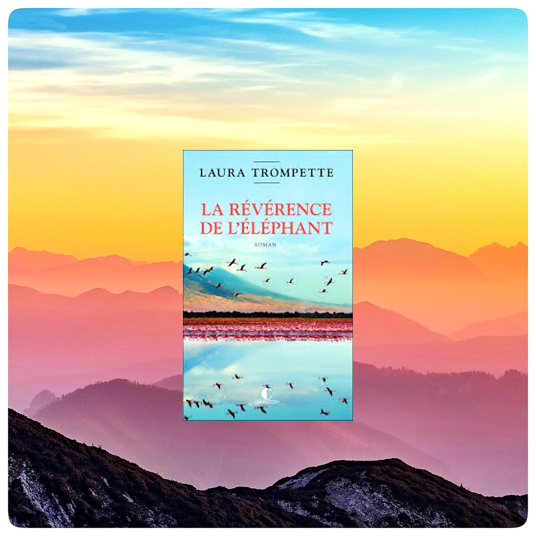 La révérence de l&rsquo;éléphant