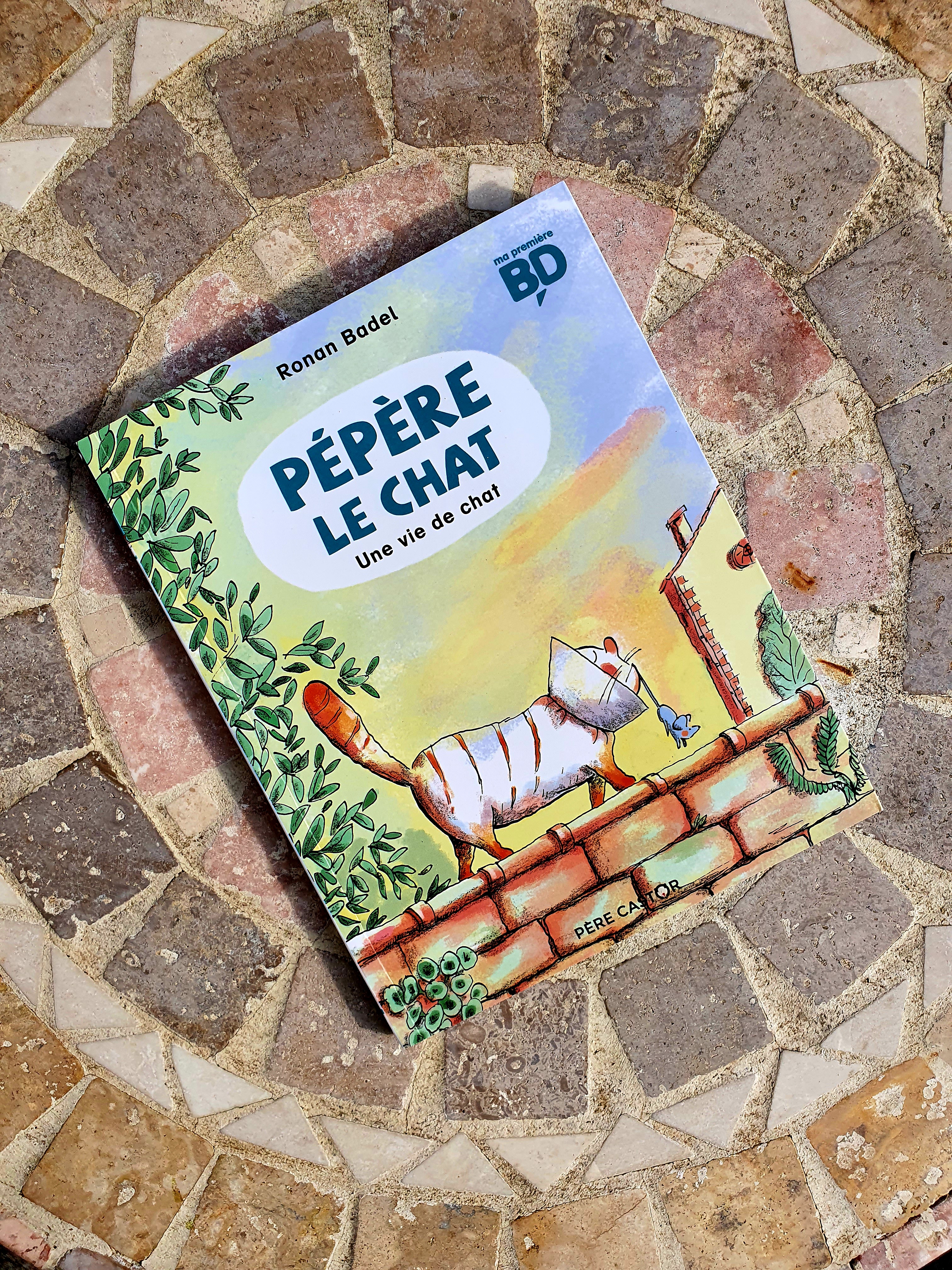 Pépère le chat&nbsp;🐱