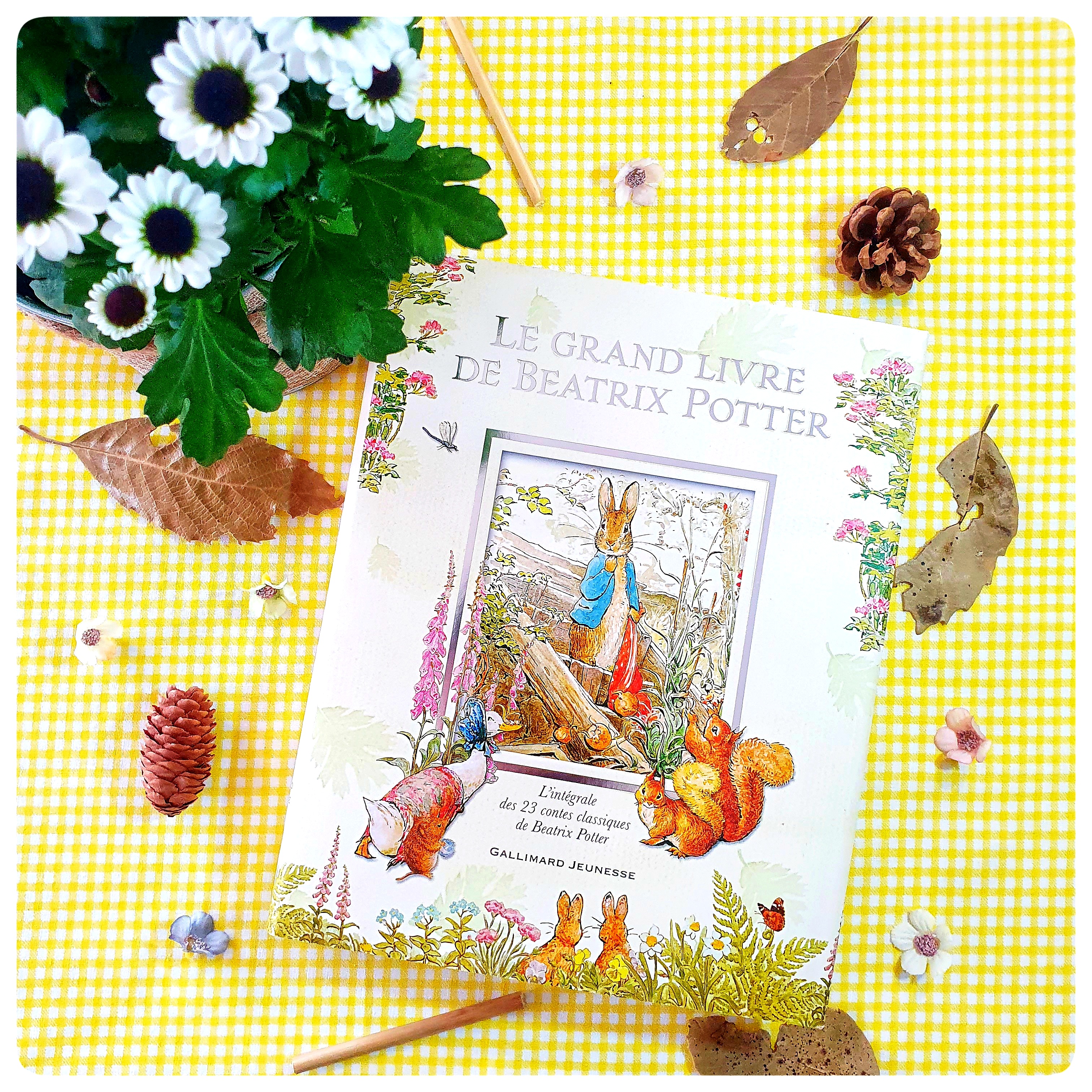 Le grand livre de Beatrix&nbsp;Potter
