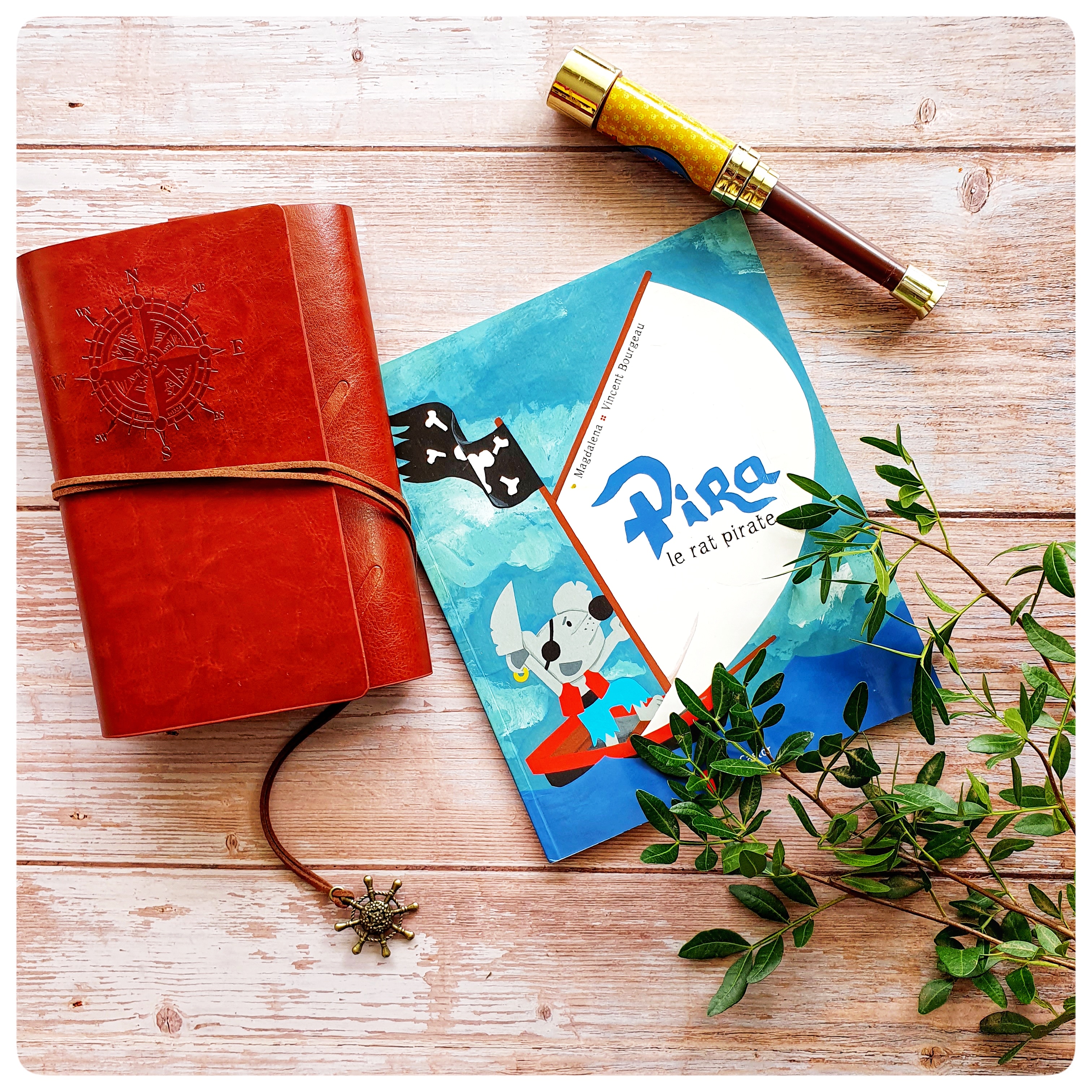 Pirat le rat&nbsp;pirate