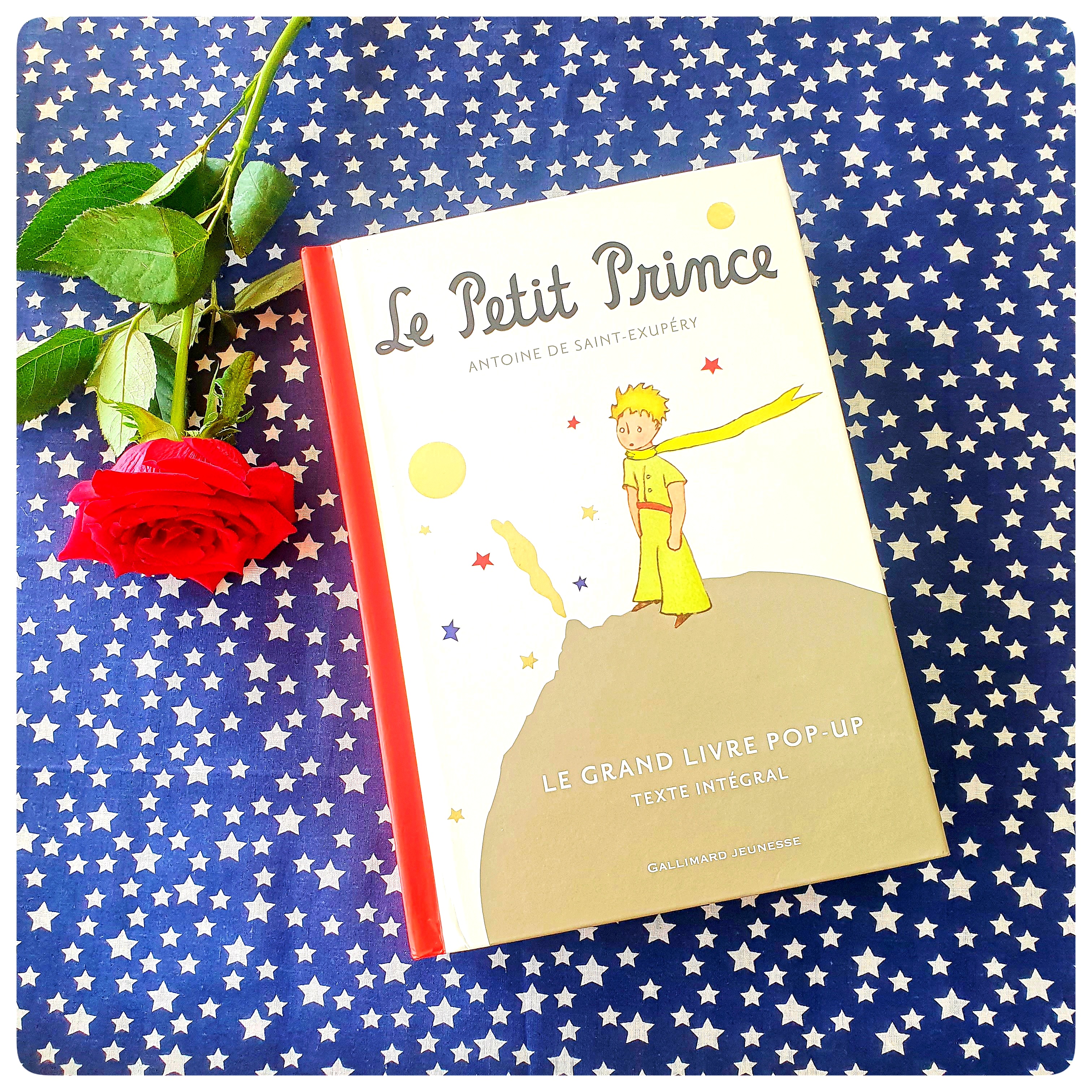 Le petit prince
