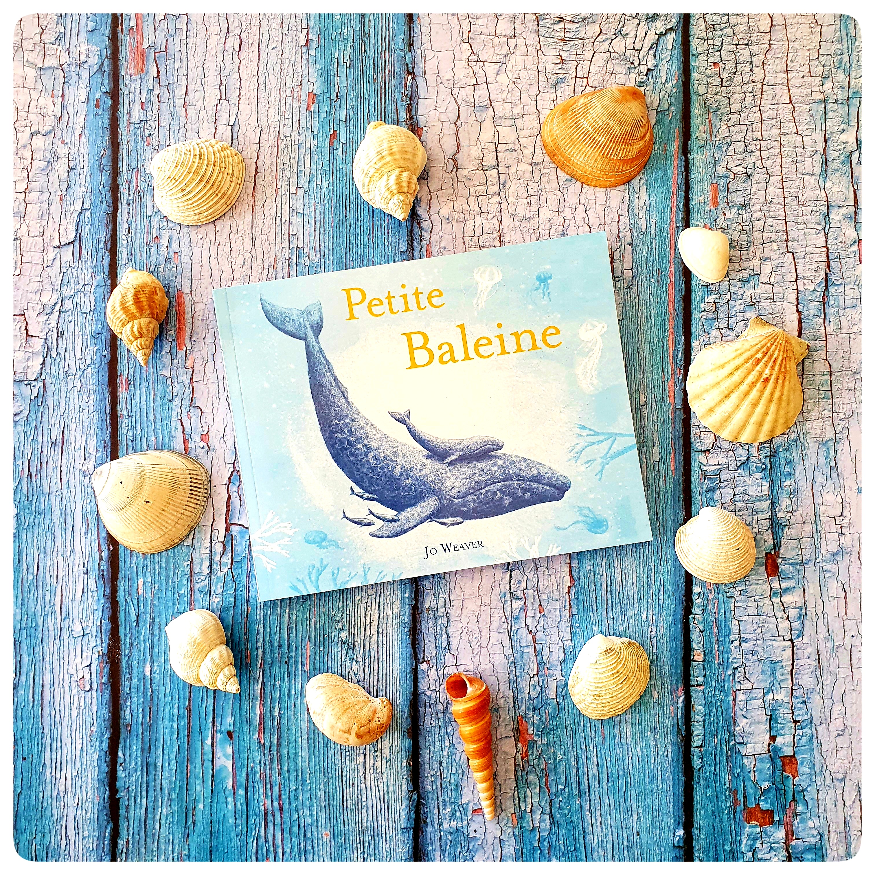 Petite baleine