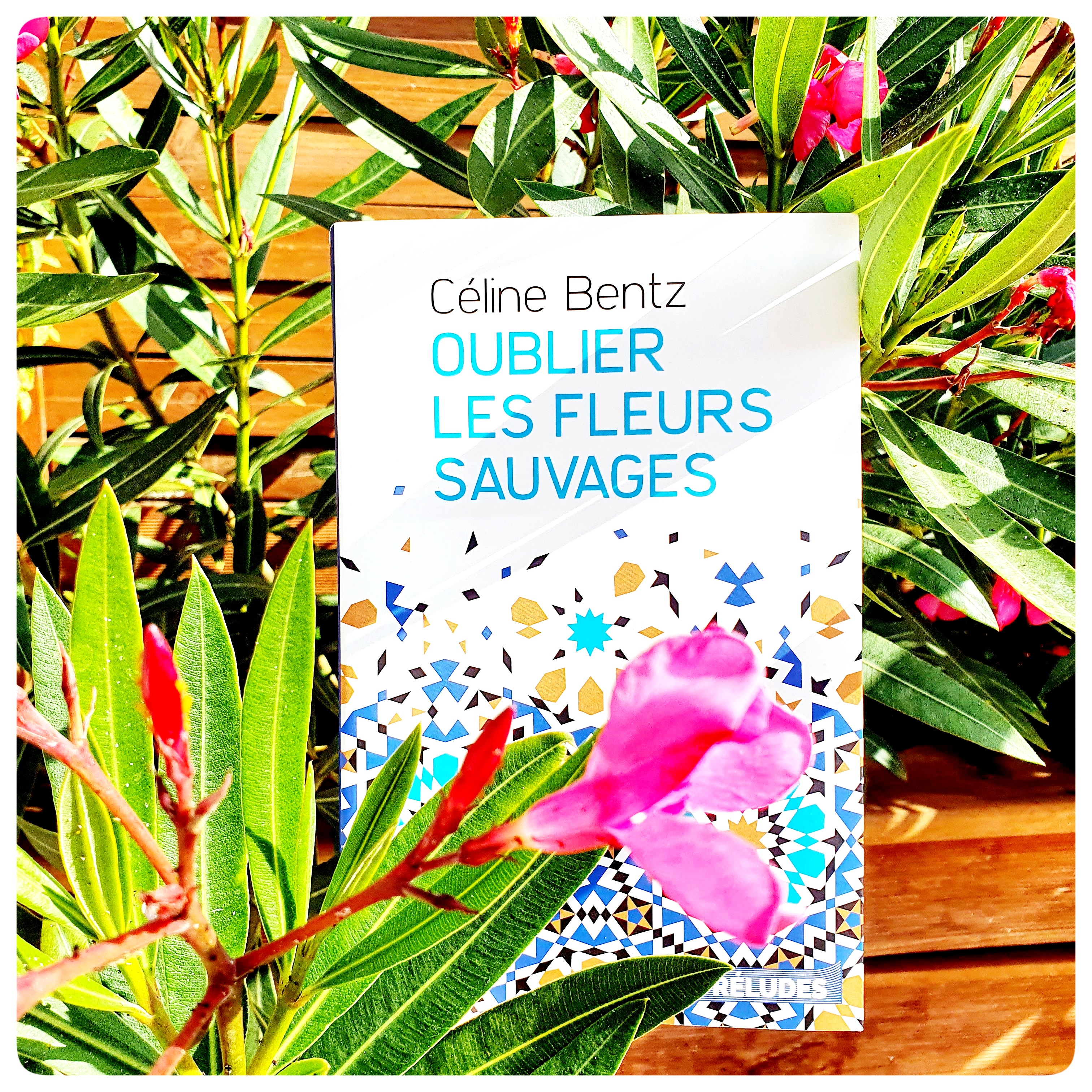 Oublier les fleurs&nbsp;sauvages