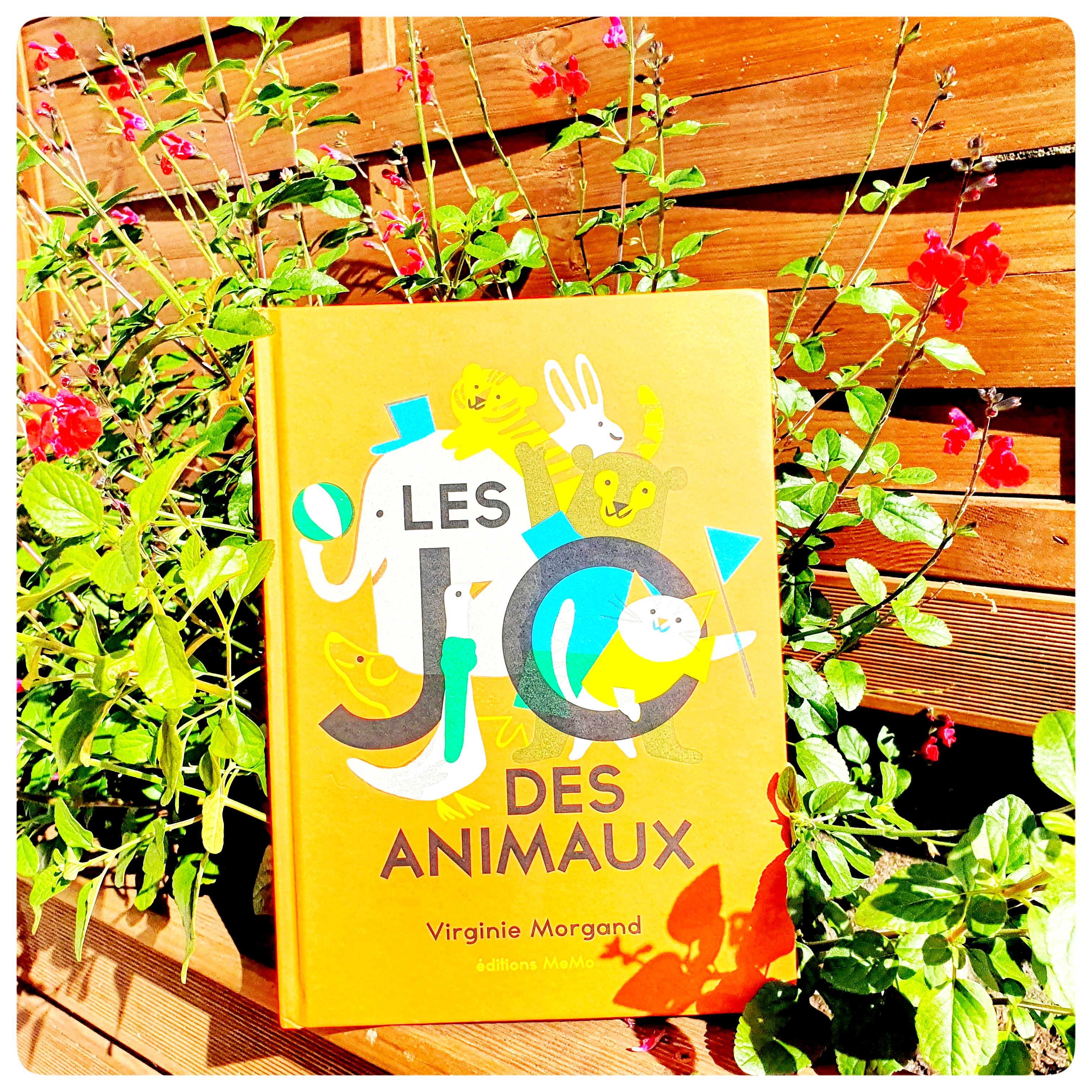 Le JO des&nbsp;animaux