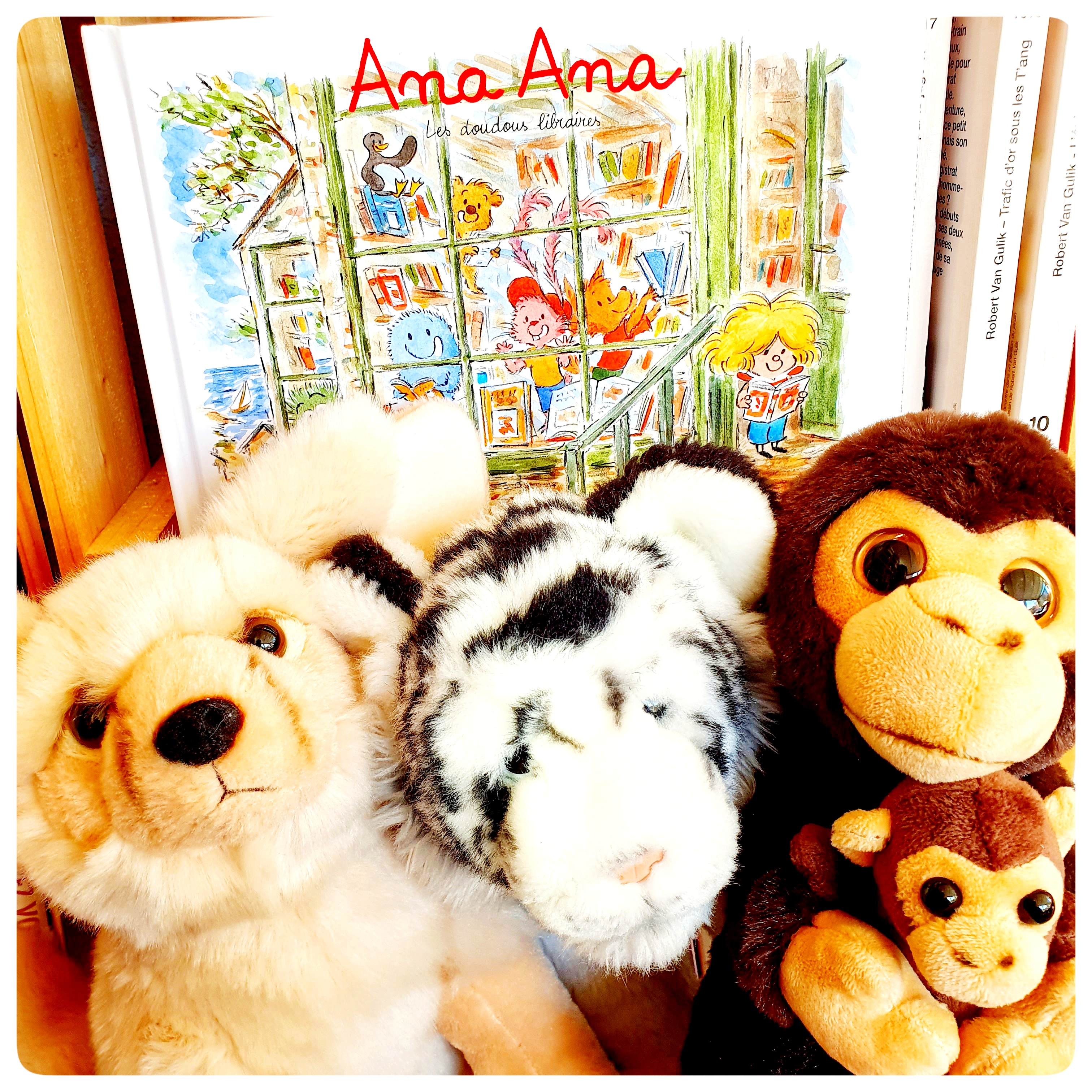 Ana Ana les doudous&nbsp;libraires