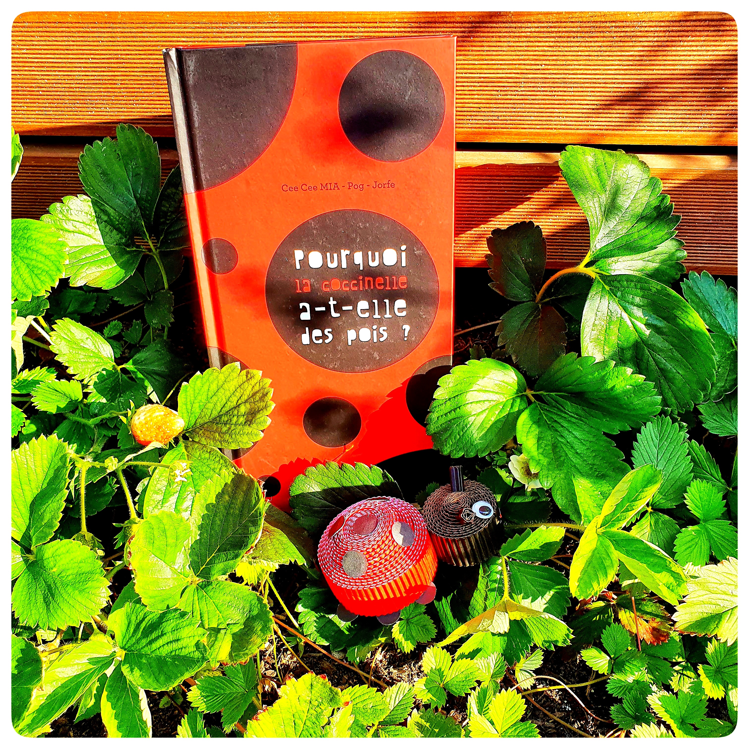 Pourquoi la coccinelle a-t-elle des pois&nbsp;🐞