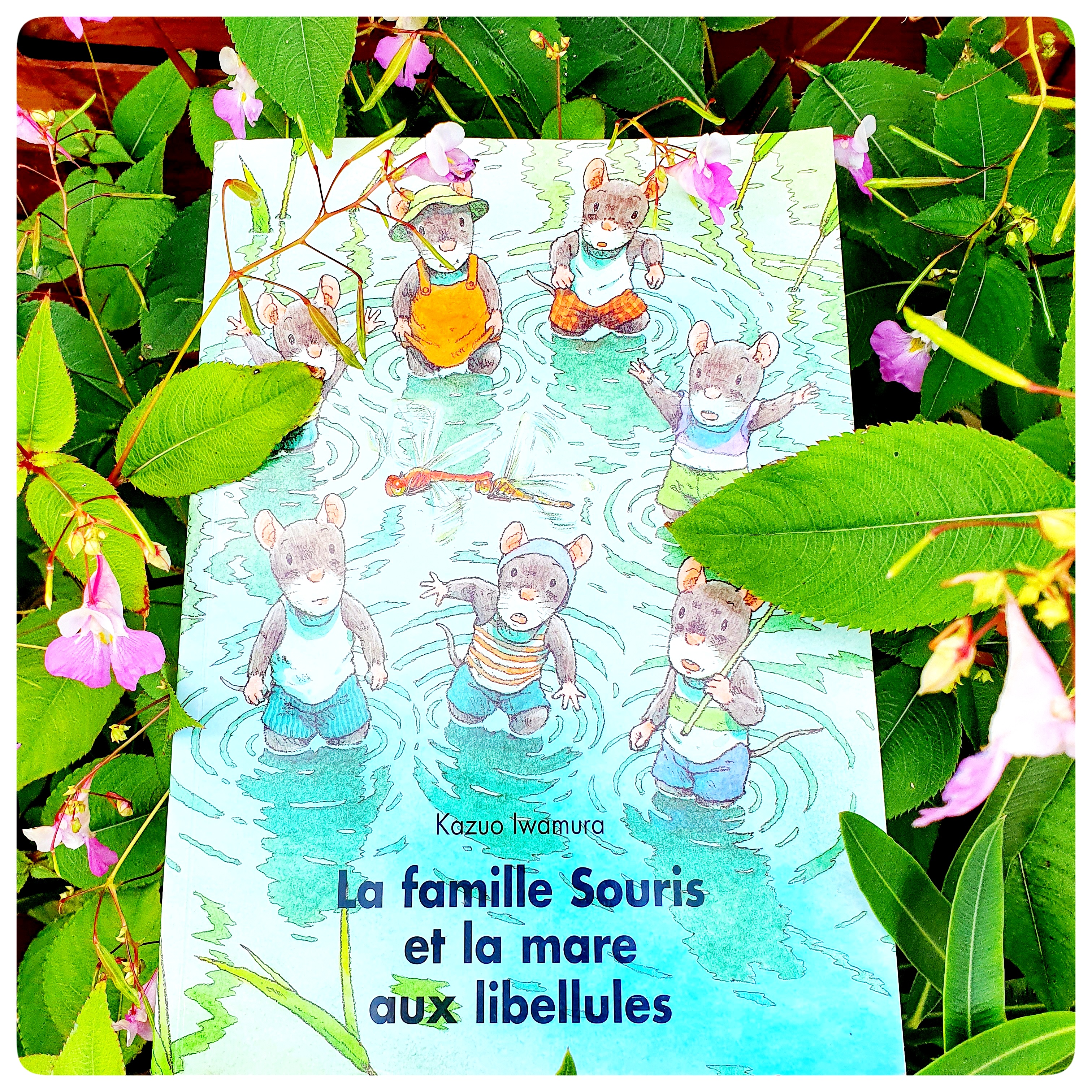 La famille souris et la mare aux&nbsp;libellules