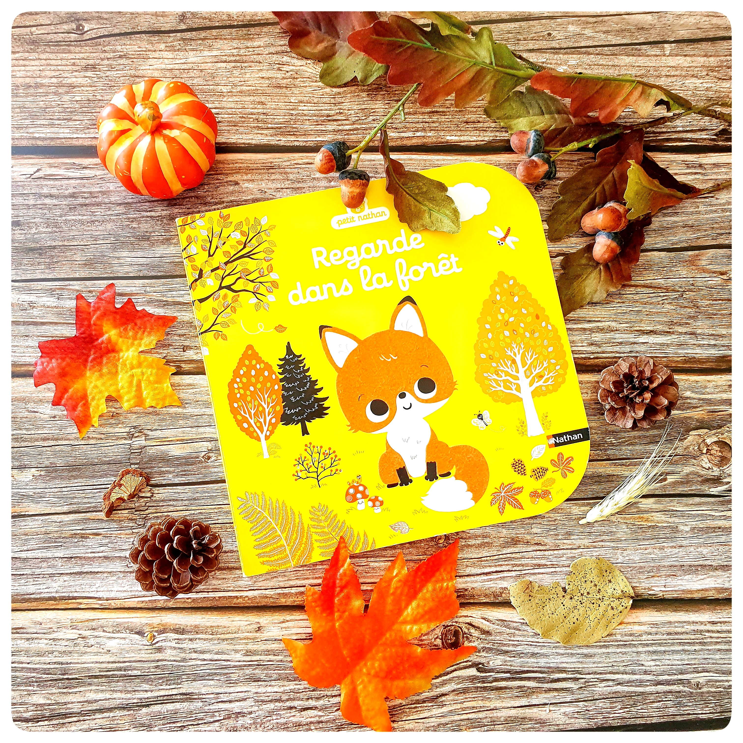 Regarde dans la&nbsp;forêt