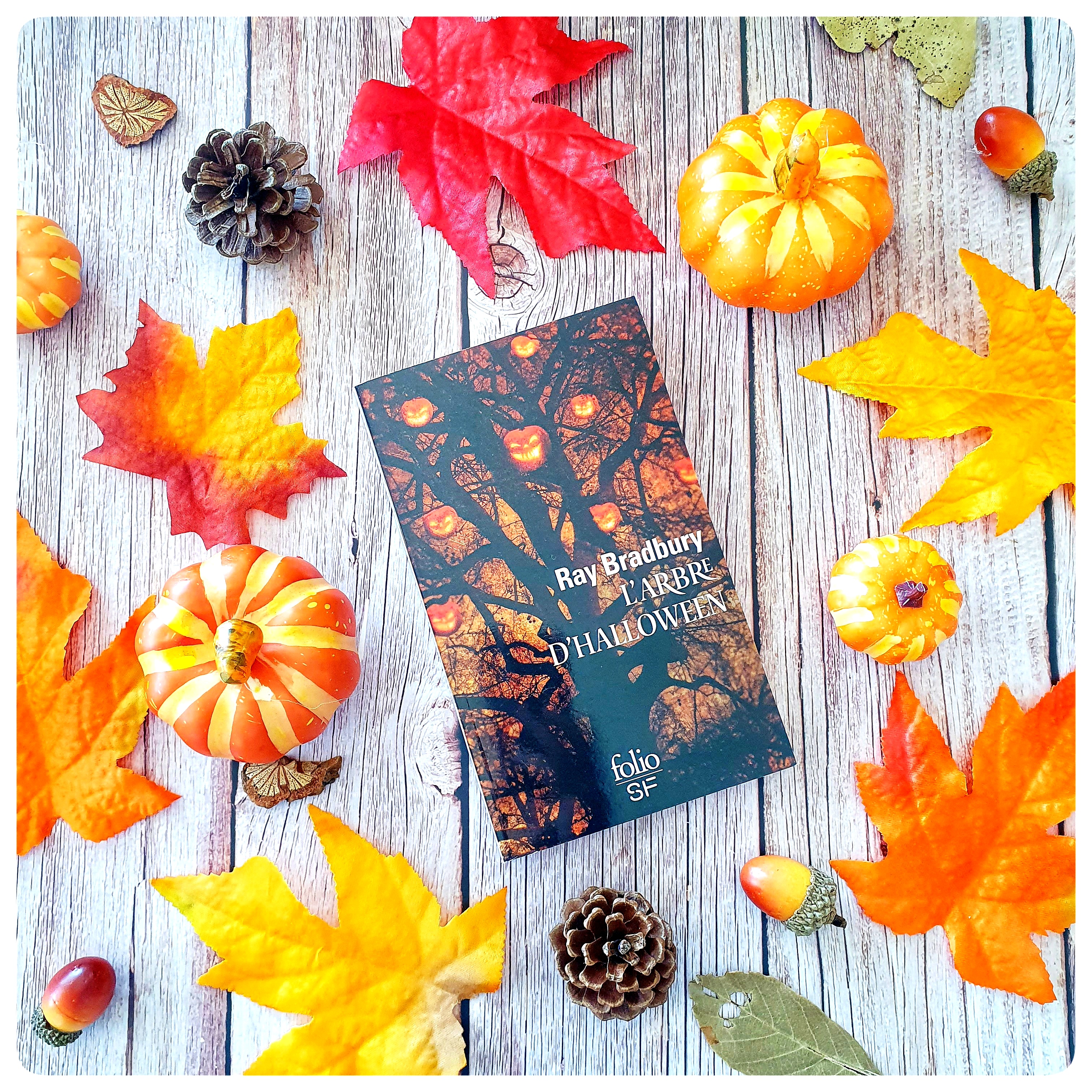 L’arbre d’halloween L’arbre d’halloween