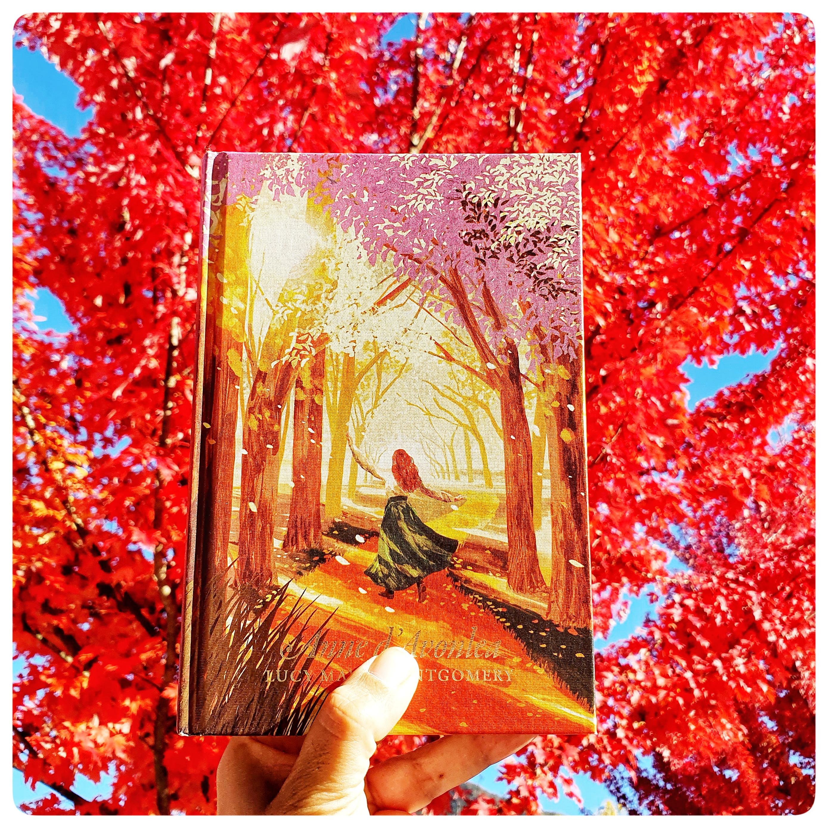 Anne d’Avonlea Anne d’Avonlea