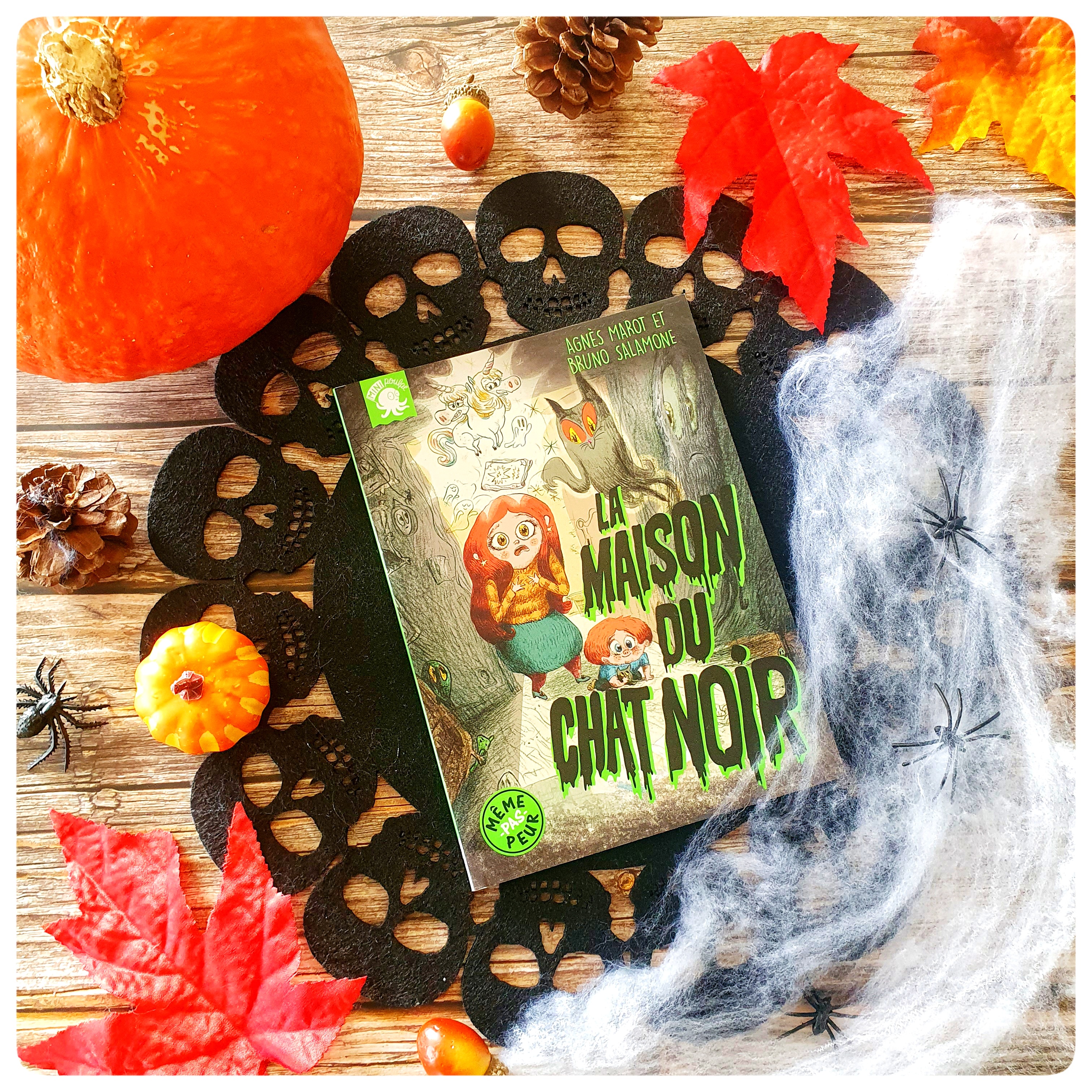 La maison du chat&nbsp;noir