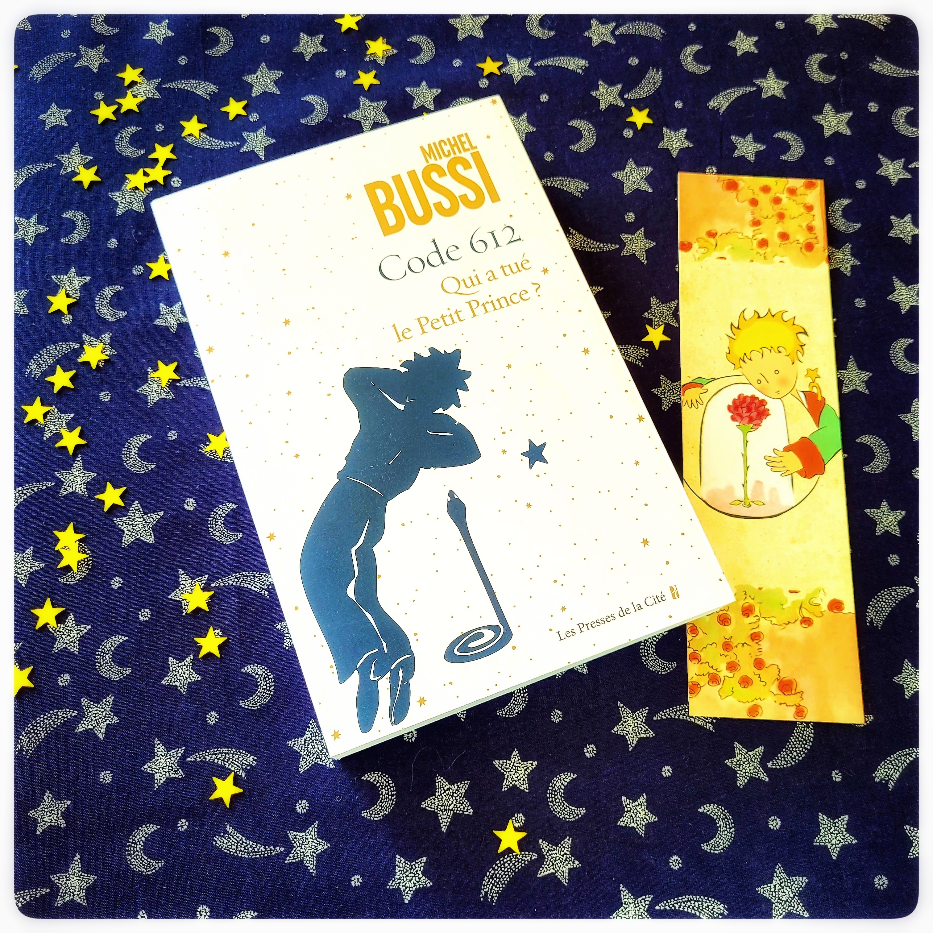 Code 612, qui a tué le petit prince&nbsp;?