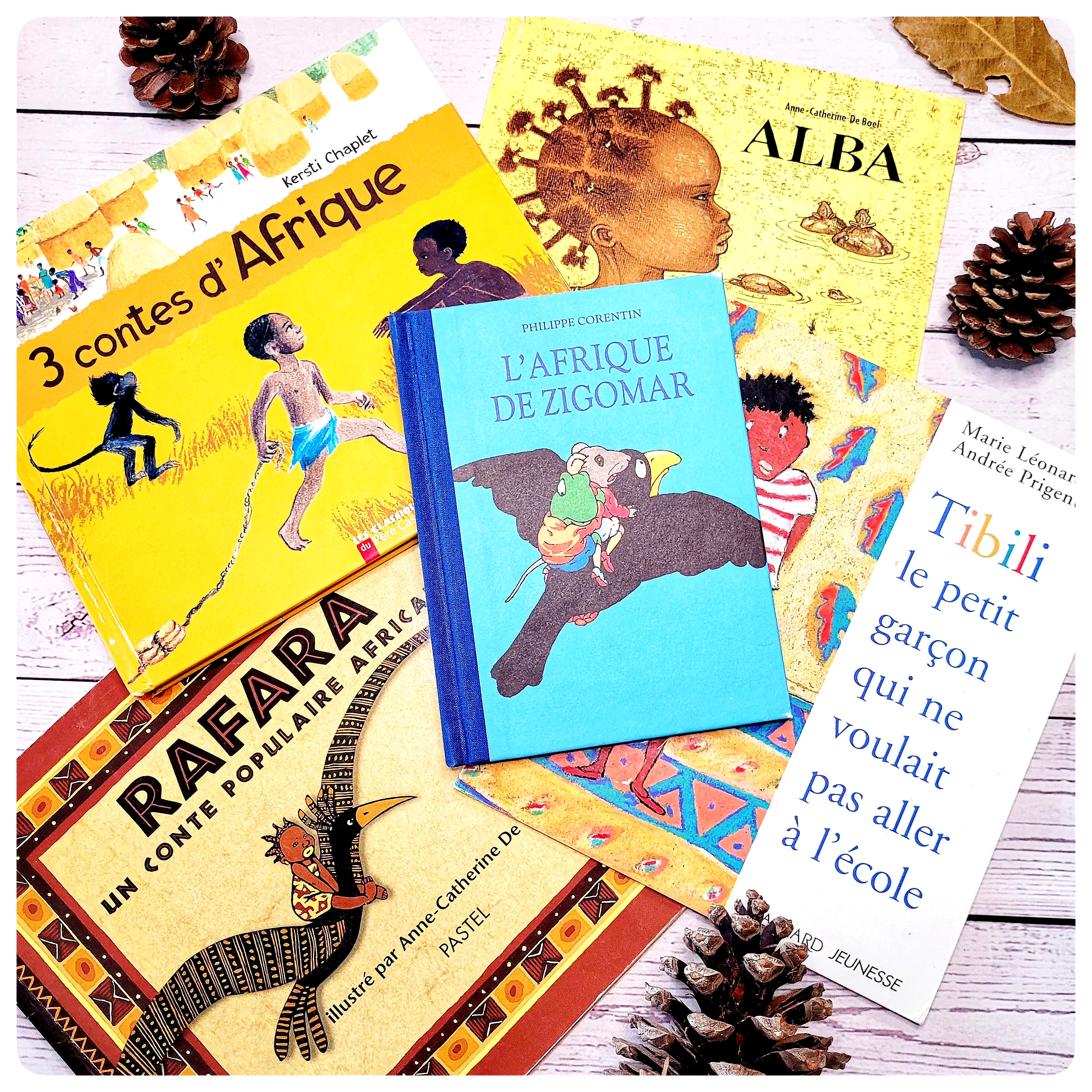 Pays d&rsquo;Afrique