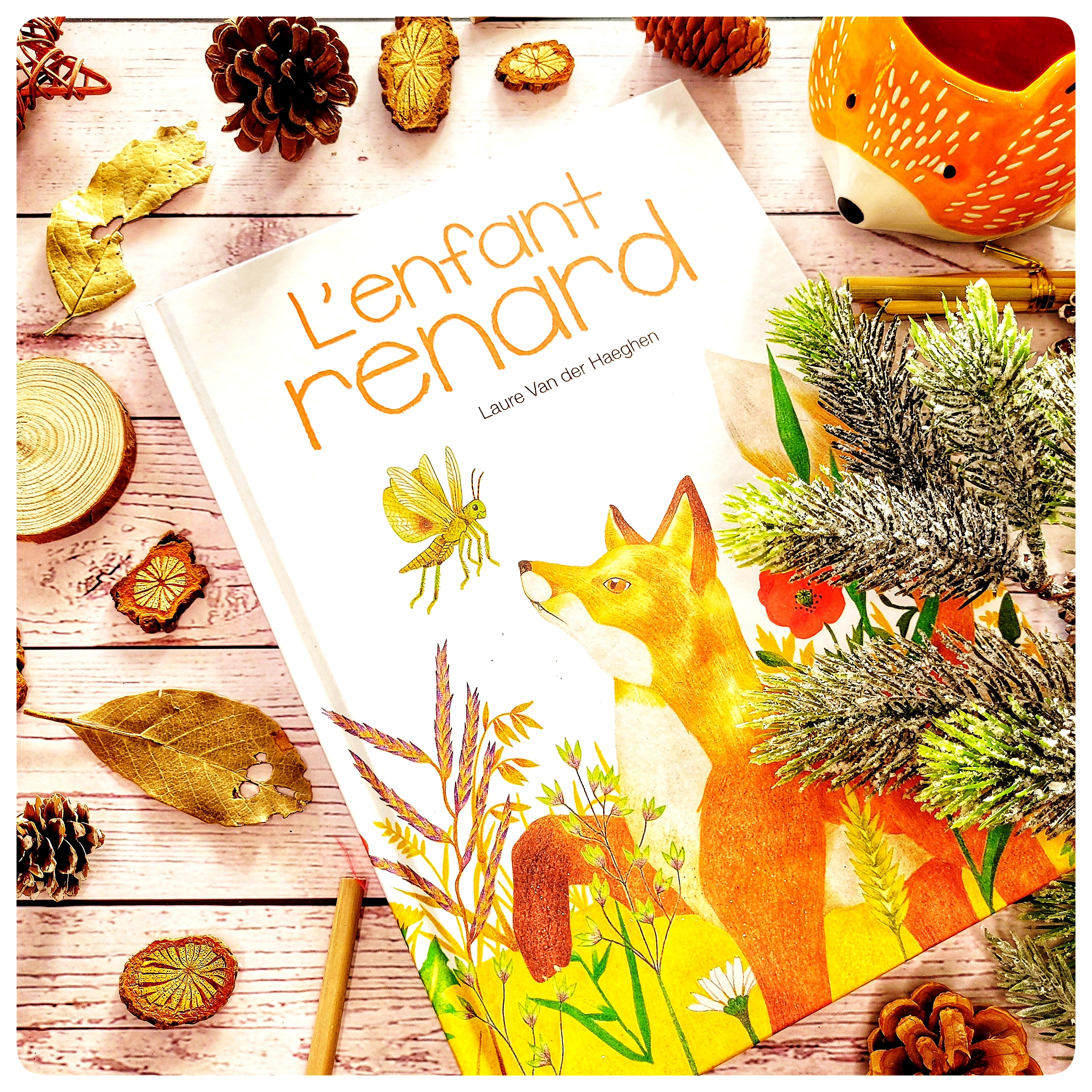 L’enfant renard L’enfant renard