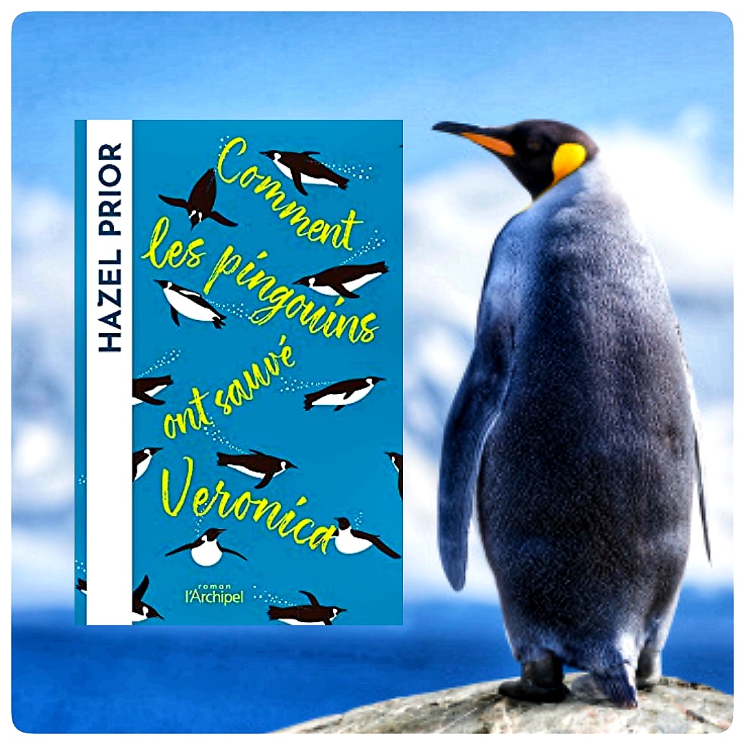 Comment les pingouins ont sauvé&nbsp;Veronica