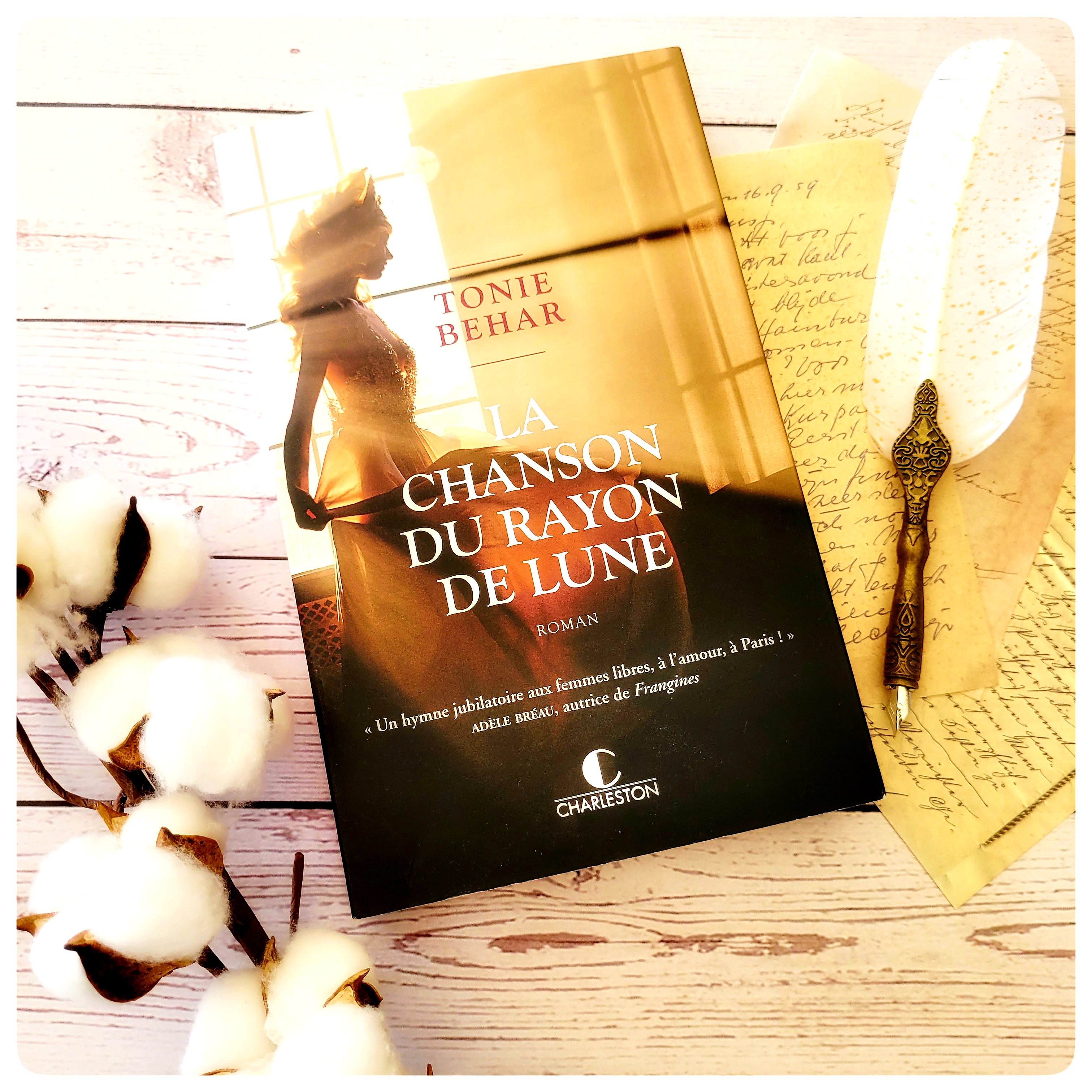 La chanson du rayon de lune&nbsp;🌙