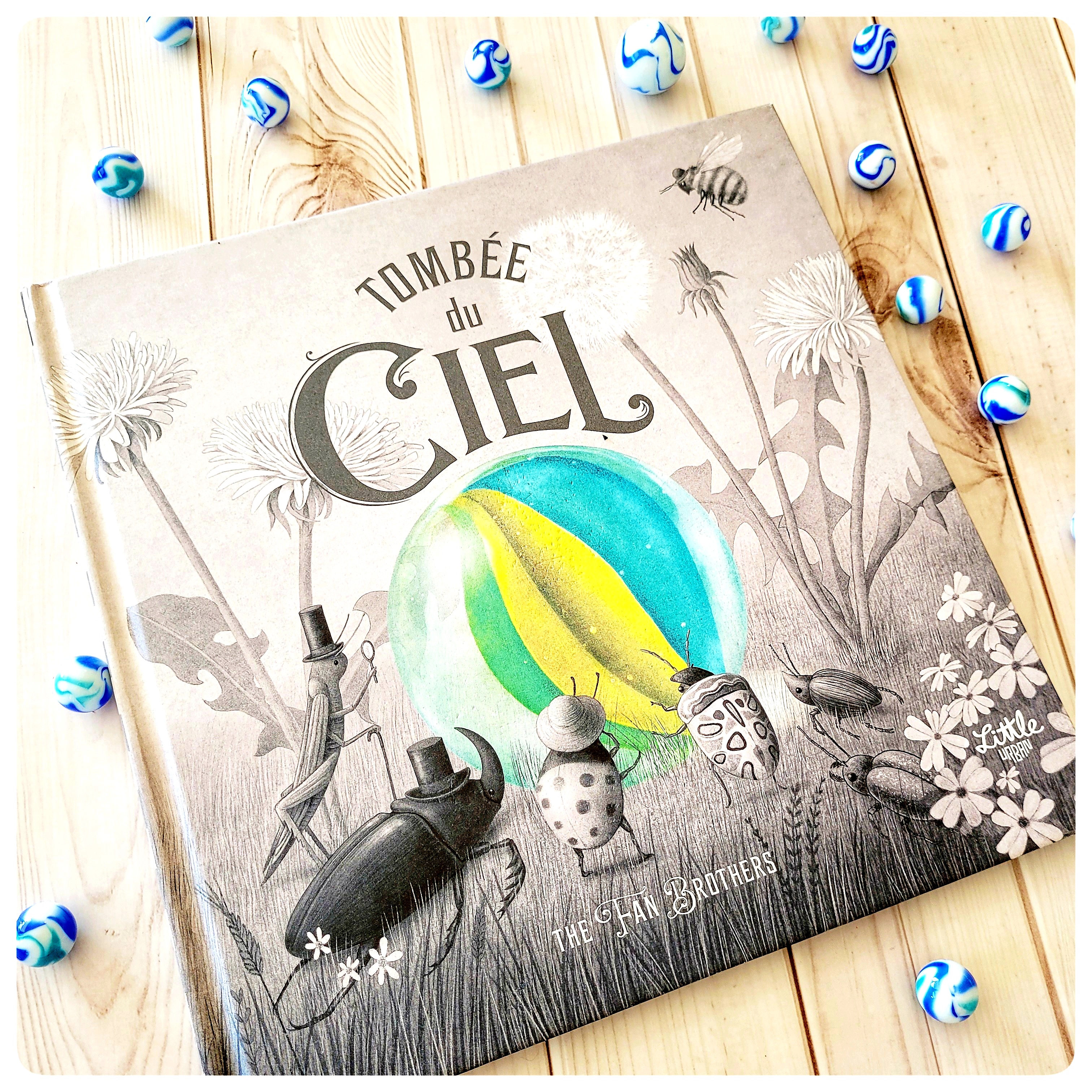 Tombée du ciel&nbsp;🦋