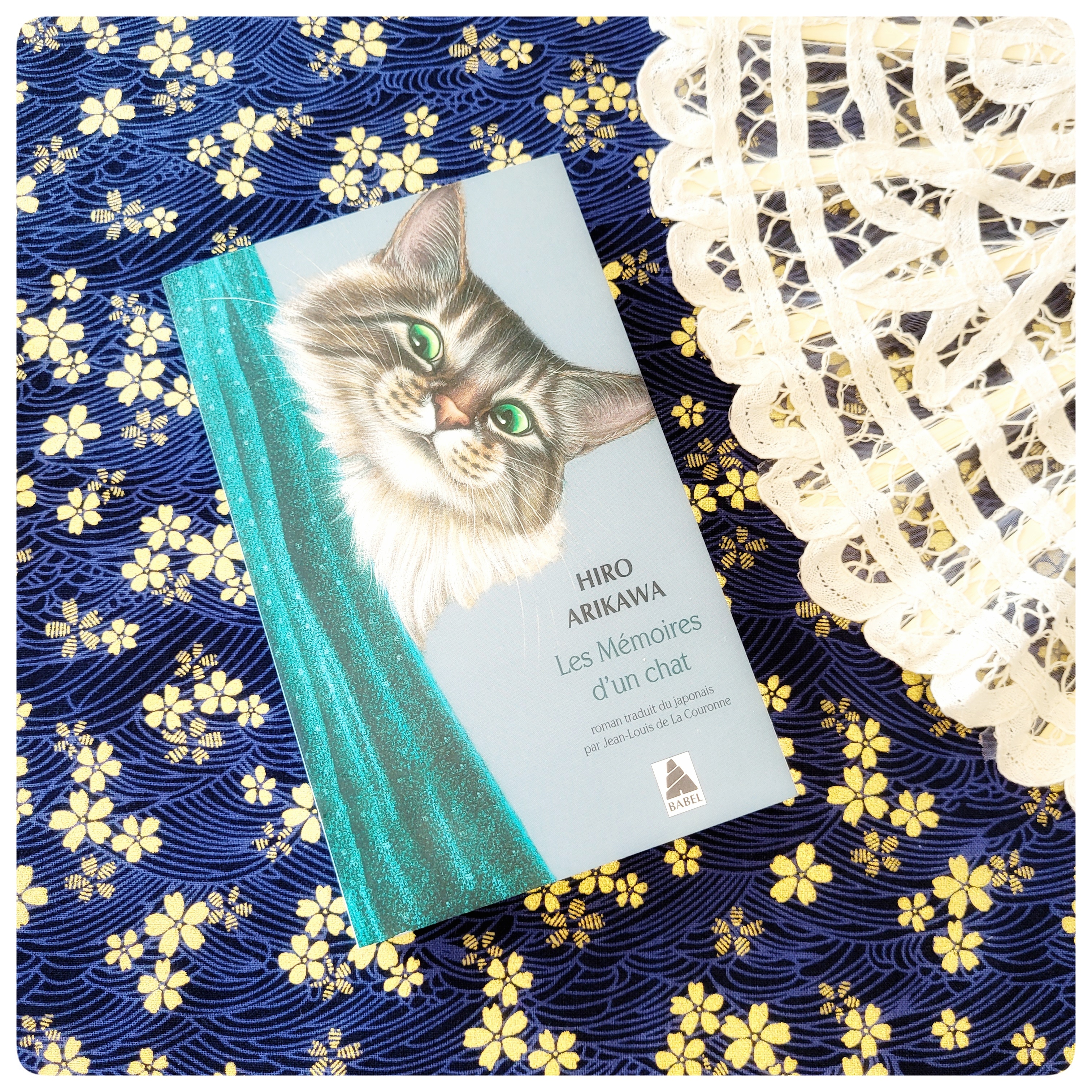 Les mémoires d’un chat Les mémoires d’un chat