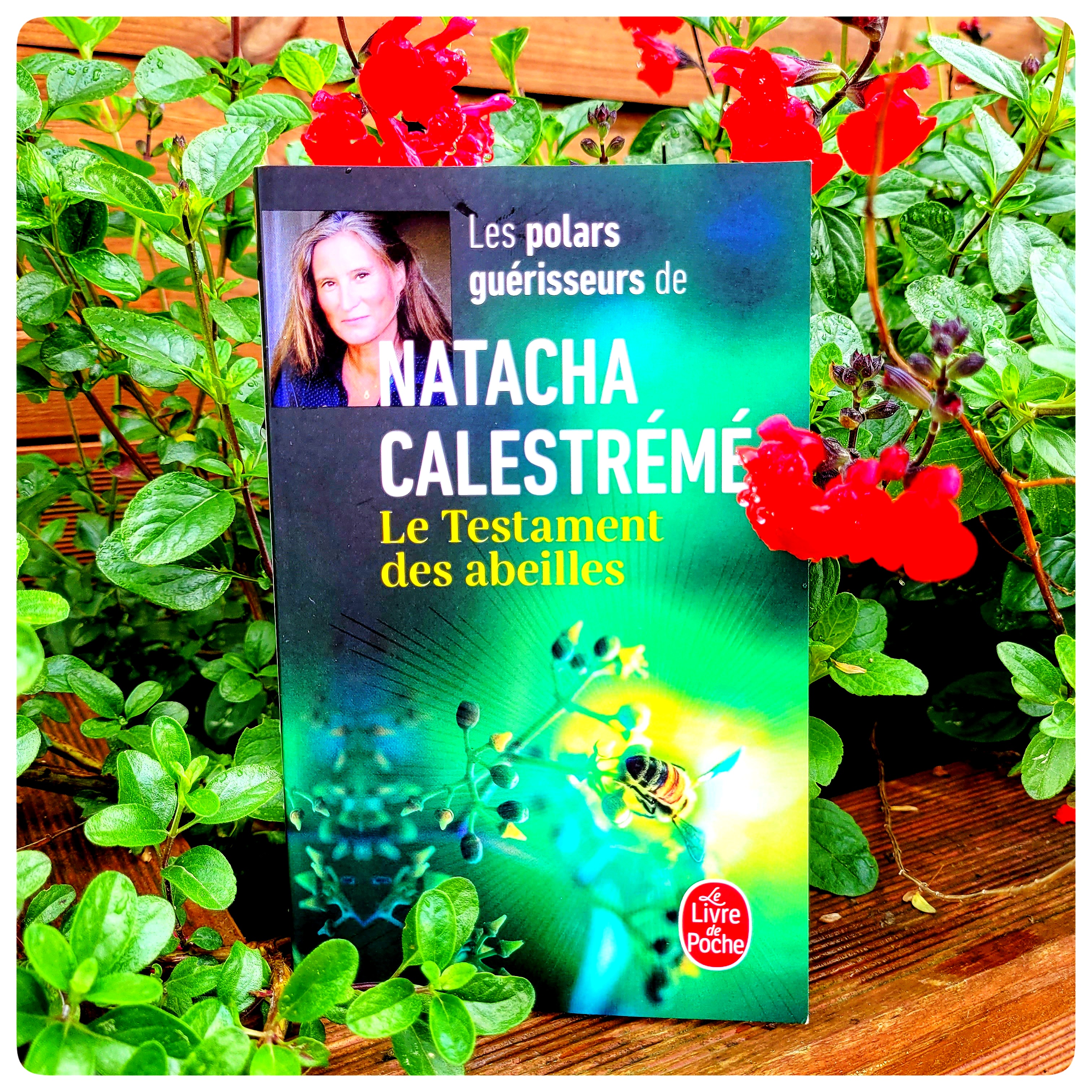 Le testament des abeilles 🐝 Le testament des abeilles 🐝