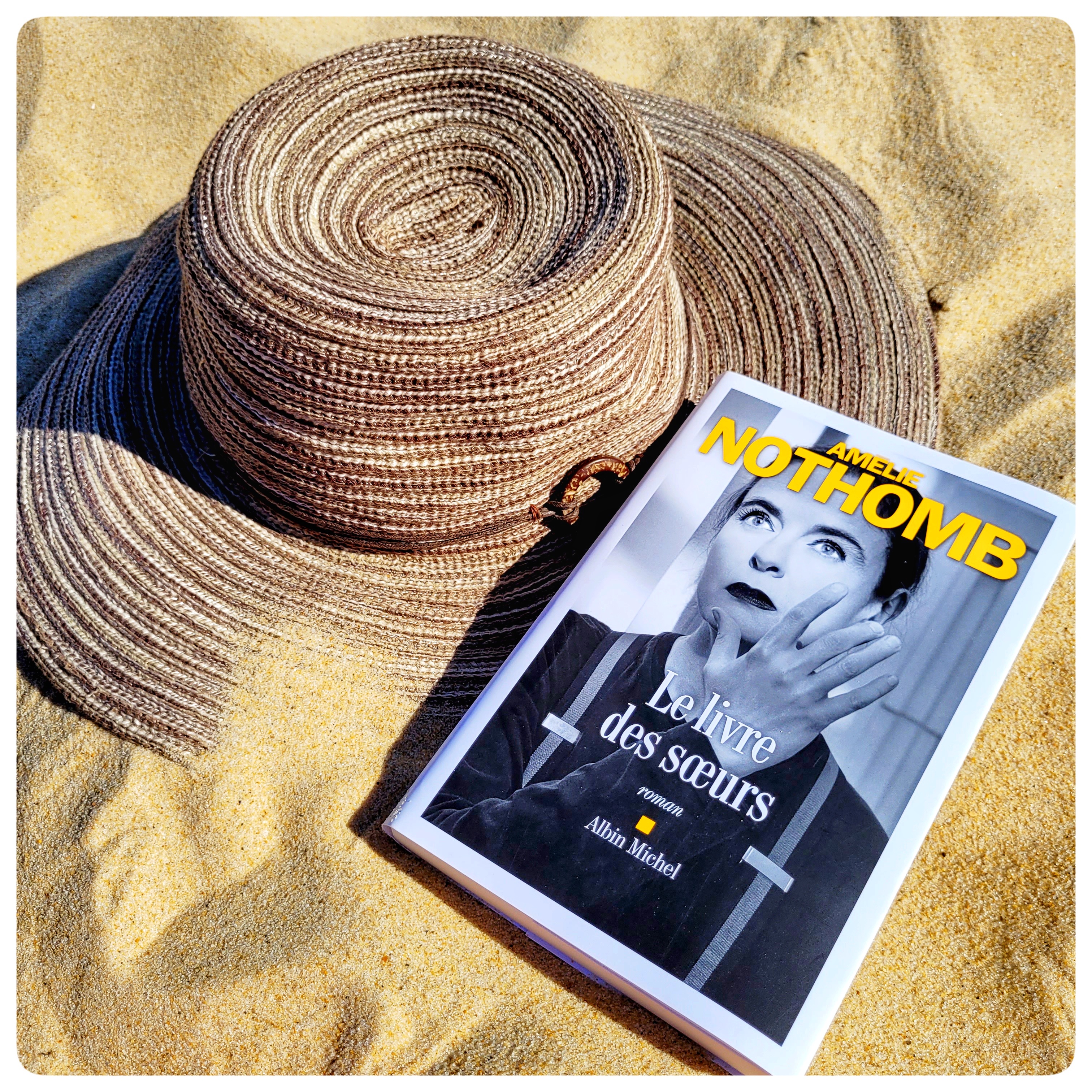 Le livre des sœurs Le livre des sœurs