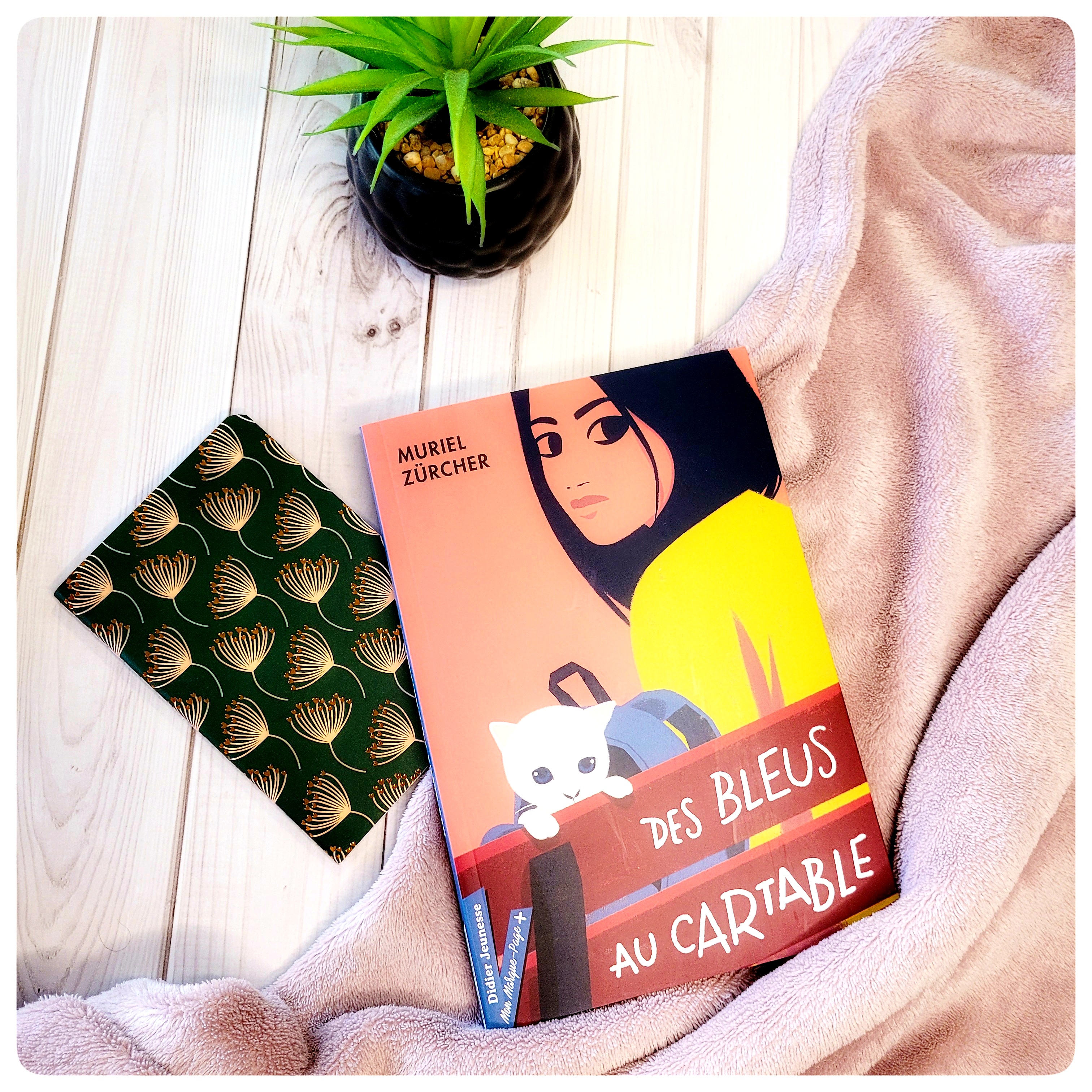 Des bleus au&nbsp;cartable