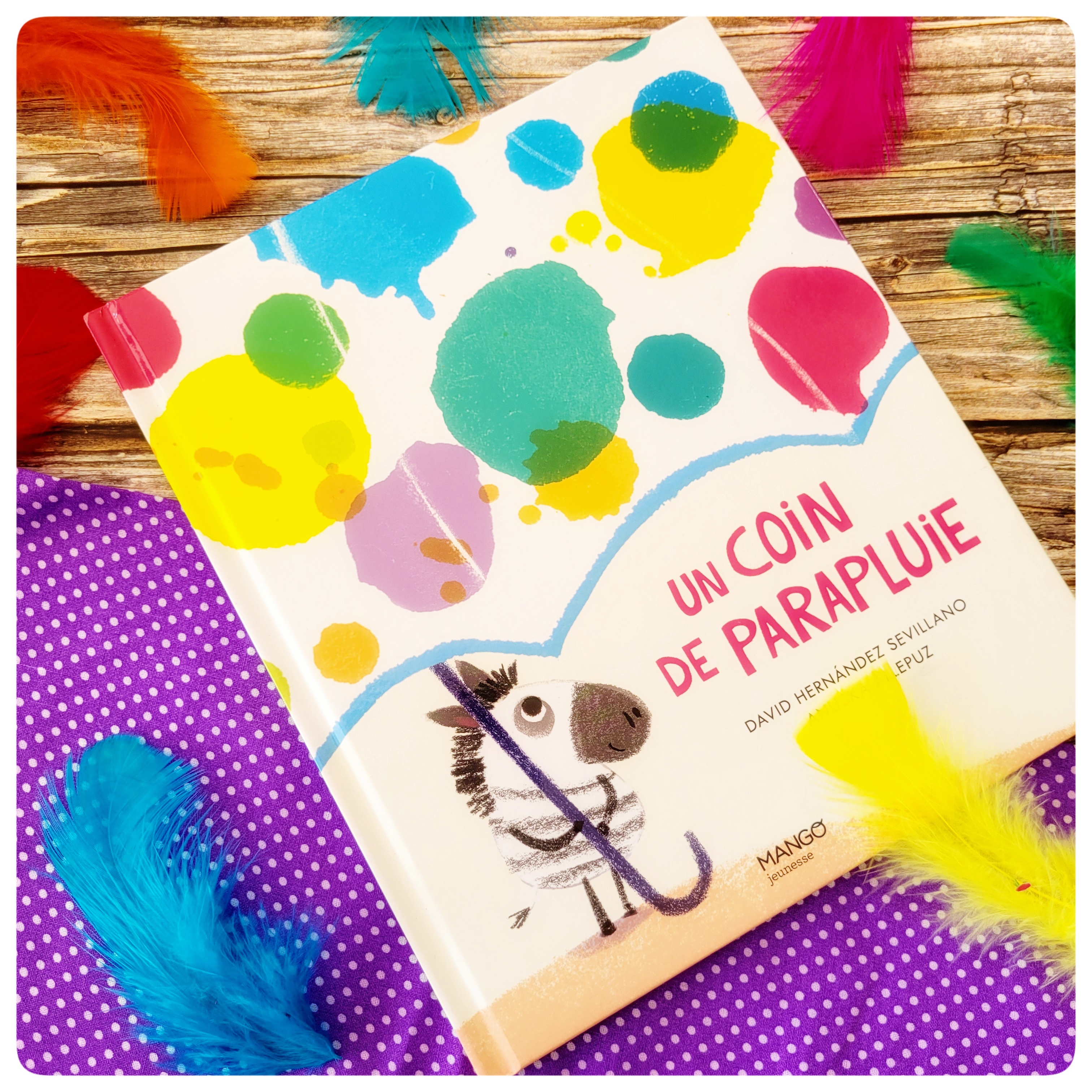 Un coin de parapluie&nbsp;☔️