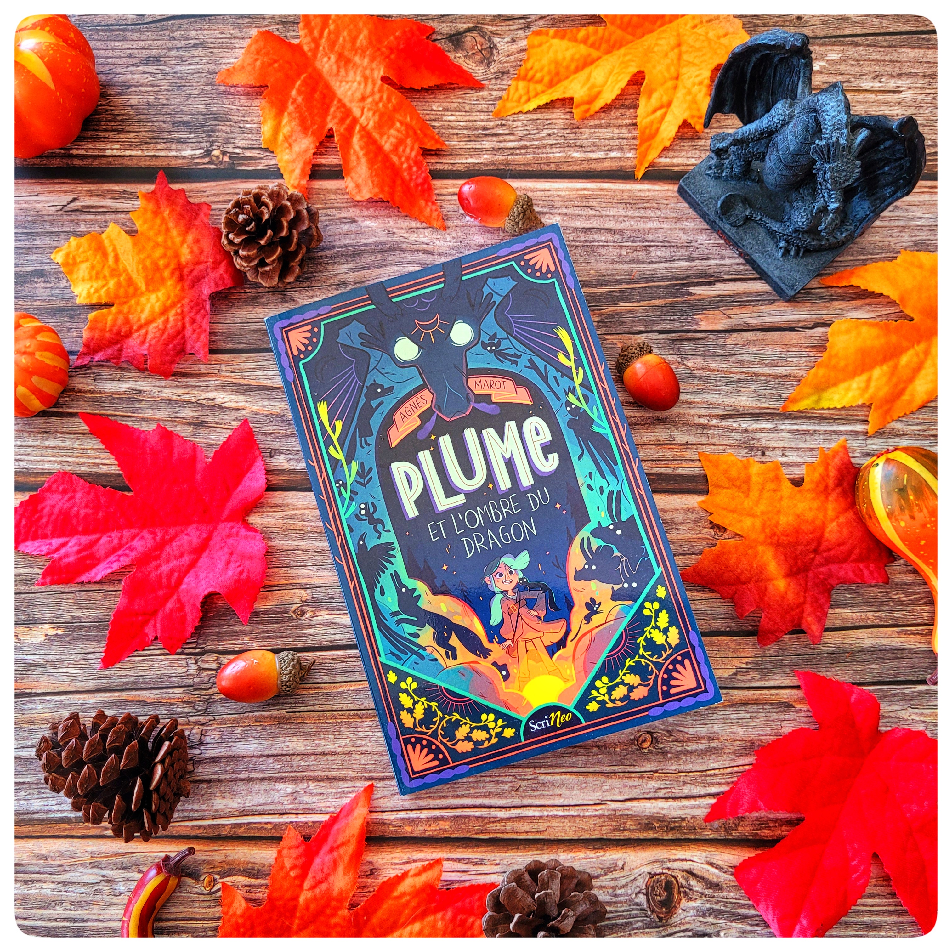 Plume et l&rsquo;ombre du&nbsp;dragon