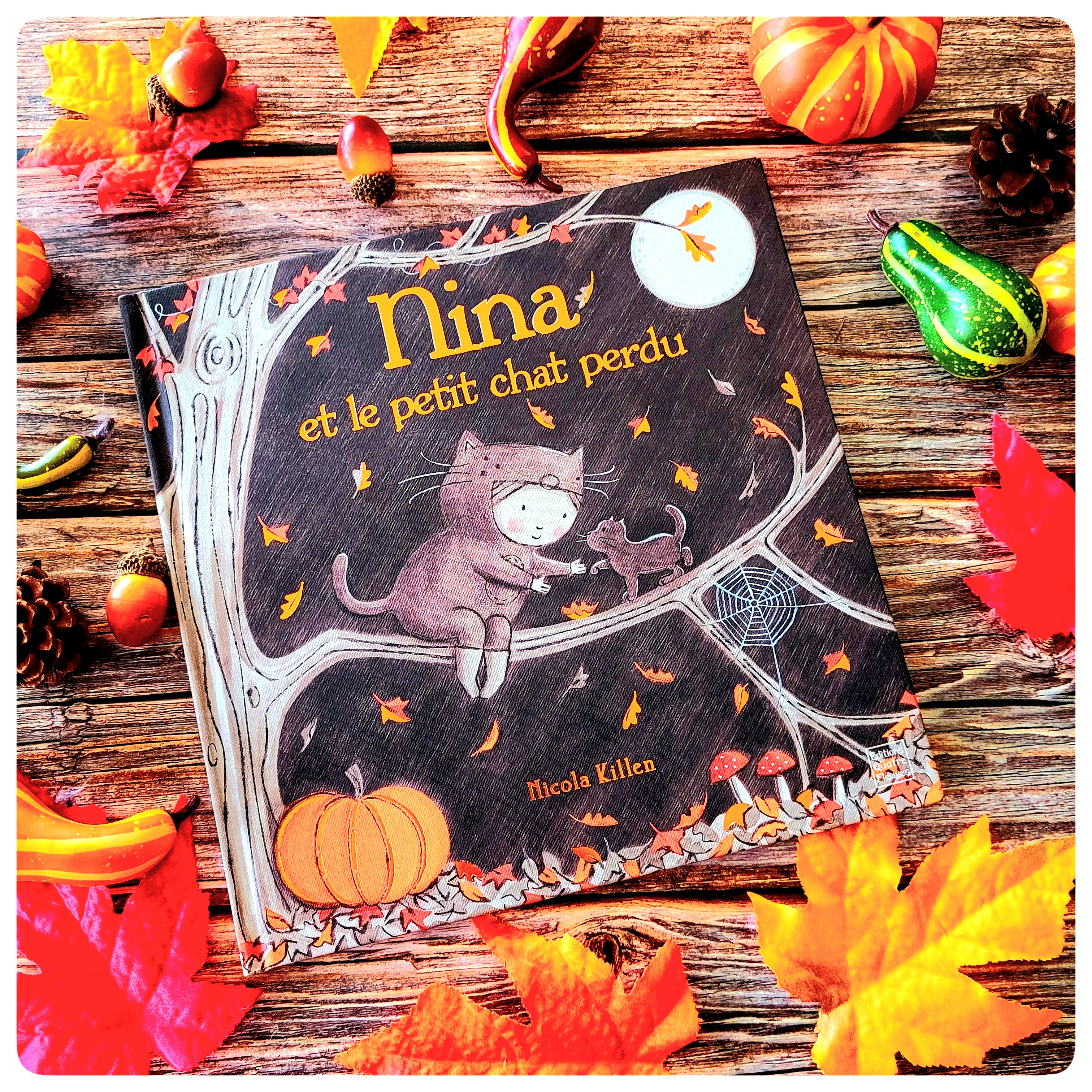 Nina et le petit chat perdu&nbsp;🐱