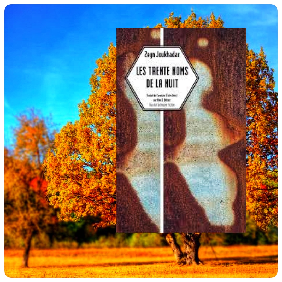 Les trente noms de la&nbsp;nuit