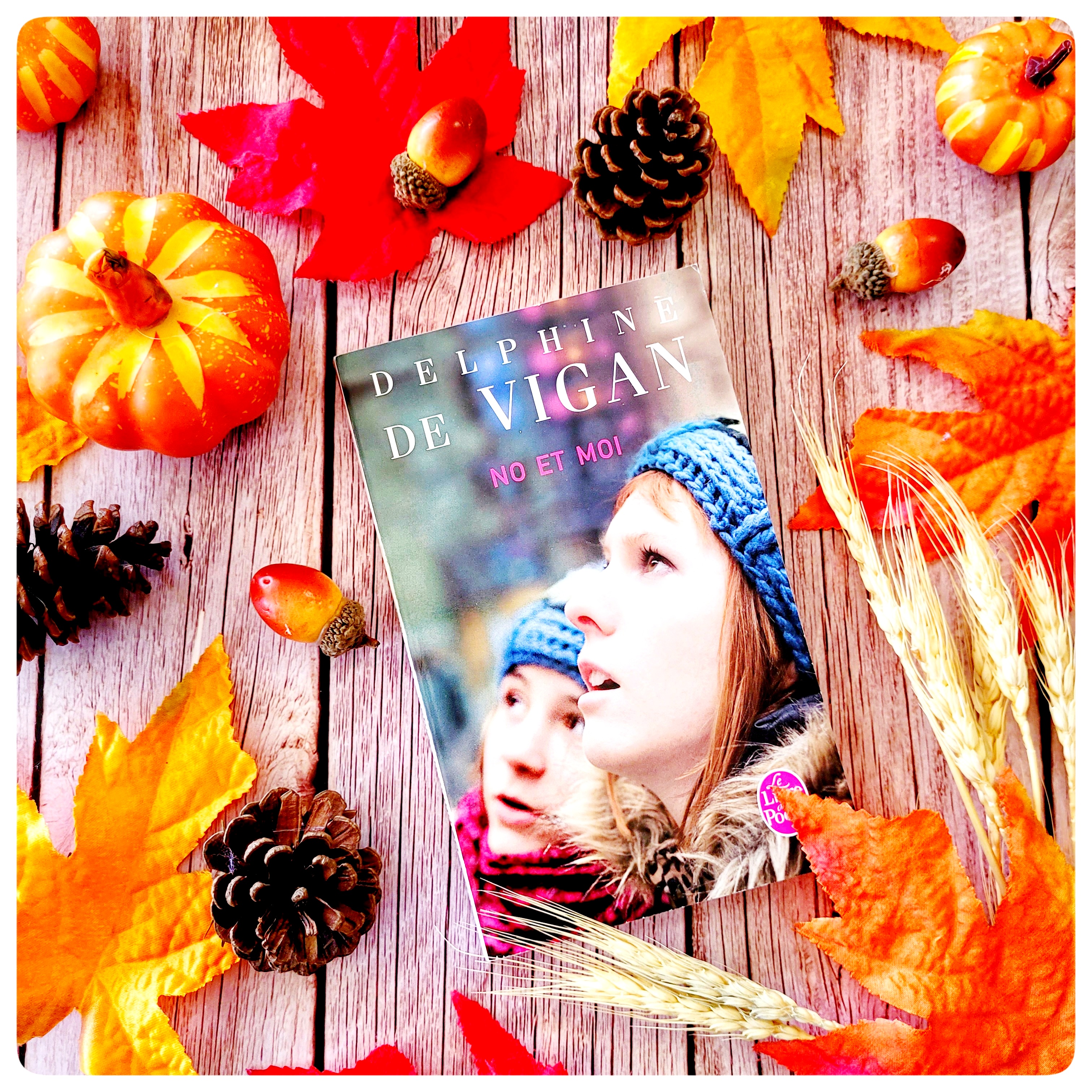 No et moi 🍂 No et moi 🍂