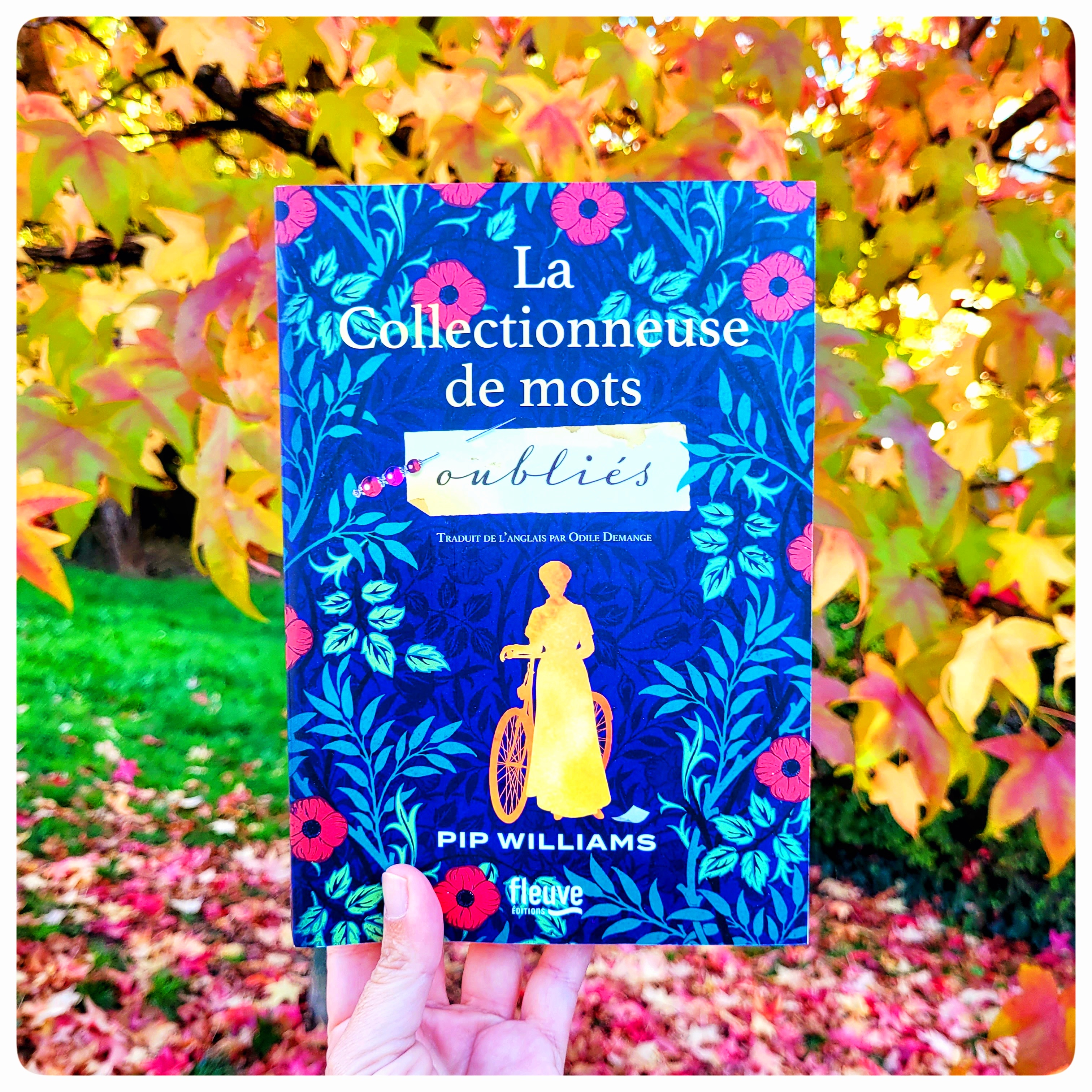 La collectionneuse de mots&nbsp;oubliés