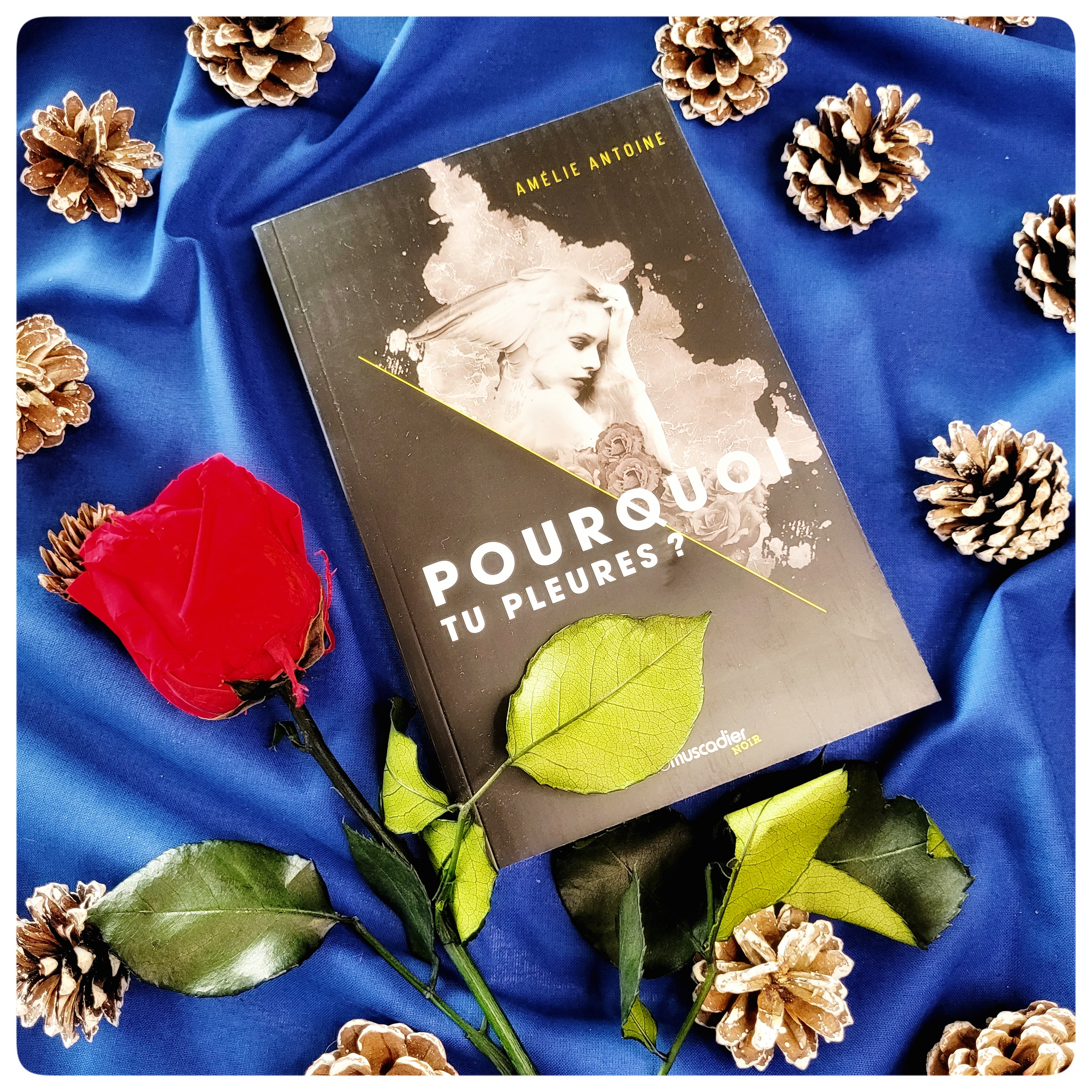 Pourquoi tu pleures ? Pourquoi tu pleures ?