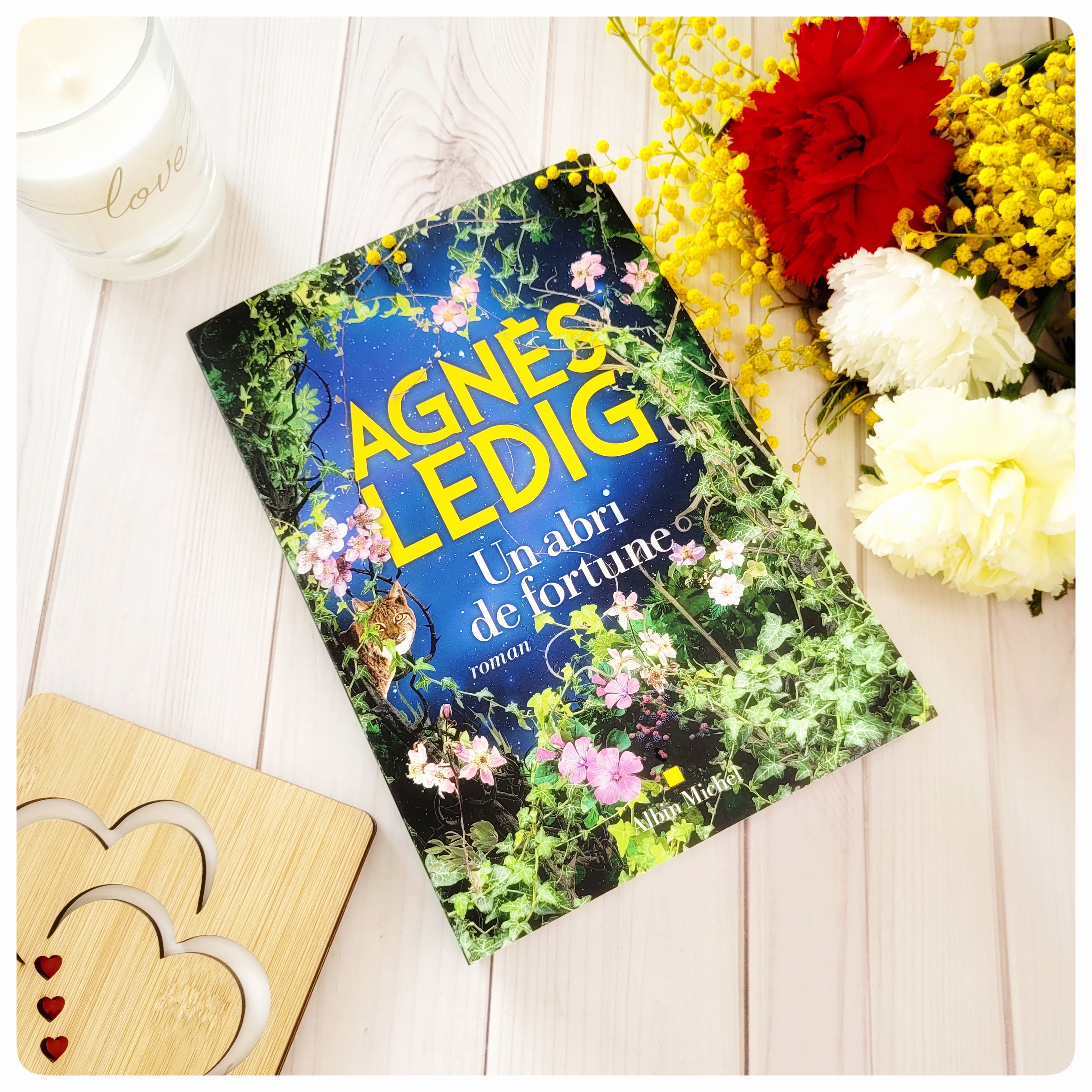 Un abri de fortune 💫 Un abri de fortune 💫