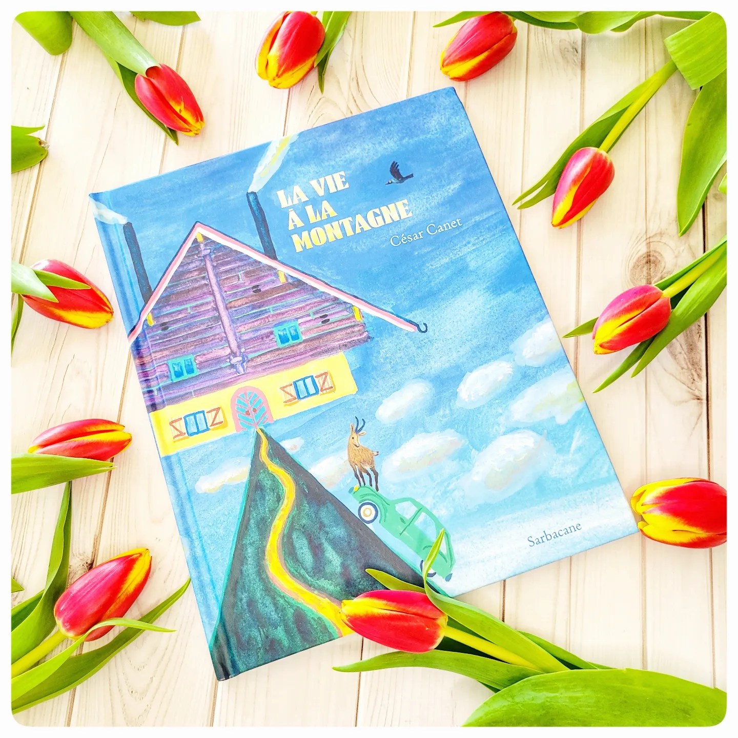 La vie à la montagne La vie à la montagne