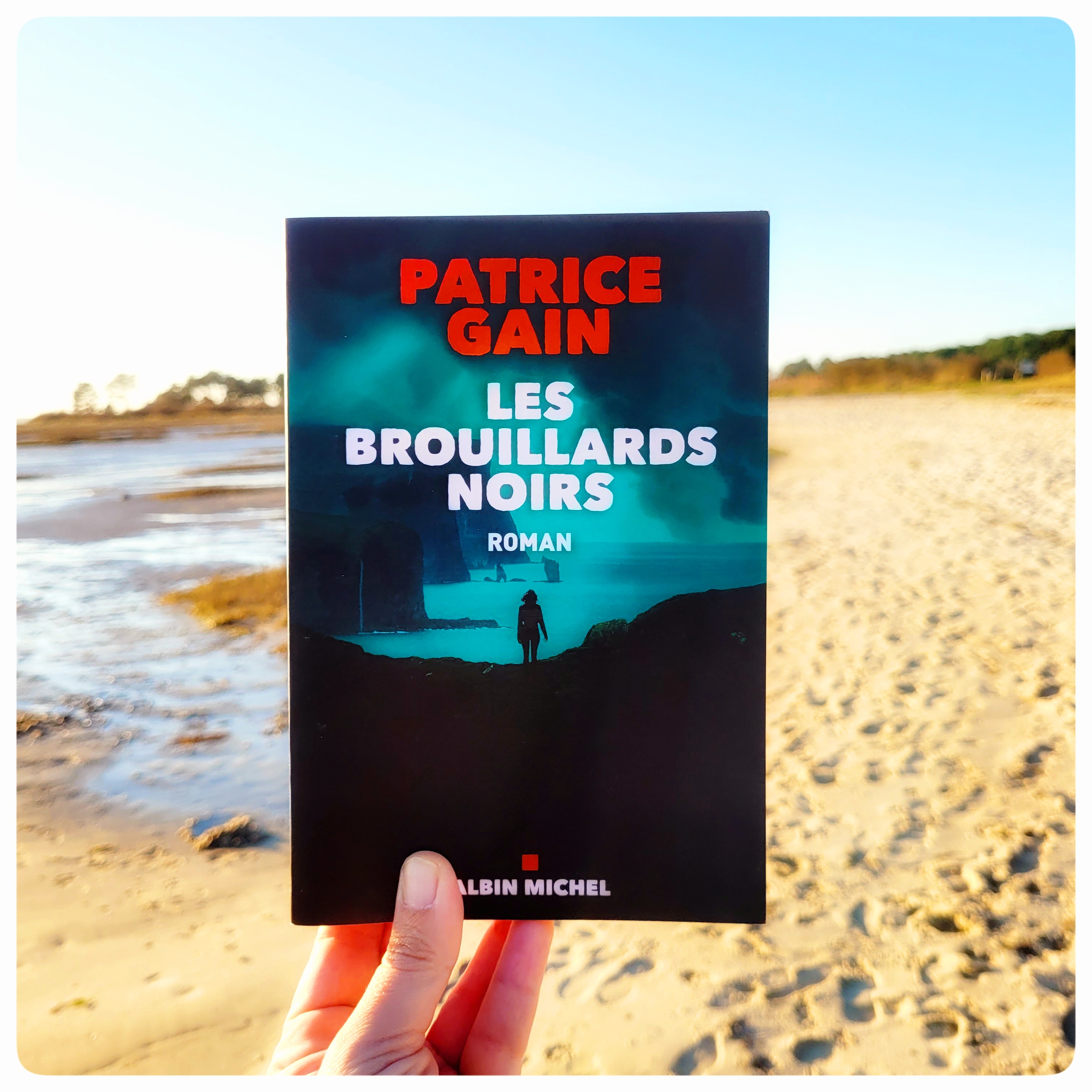 Les brouillards noirs