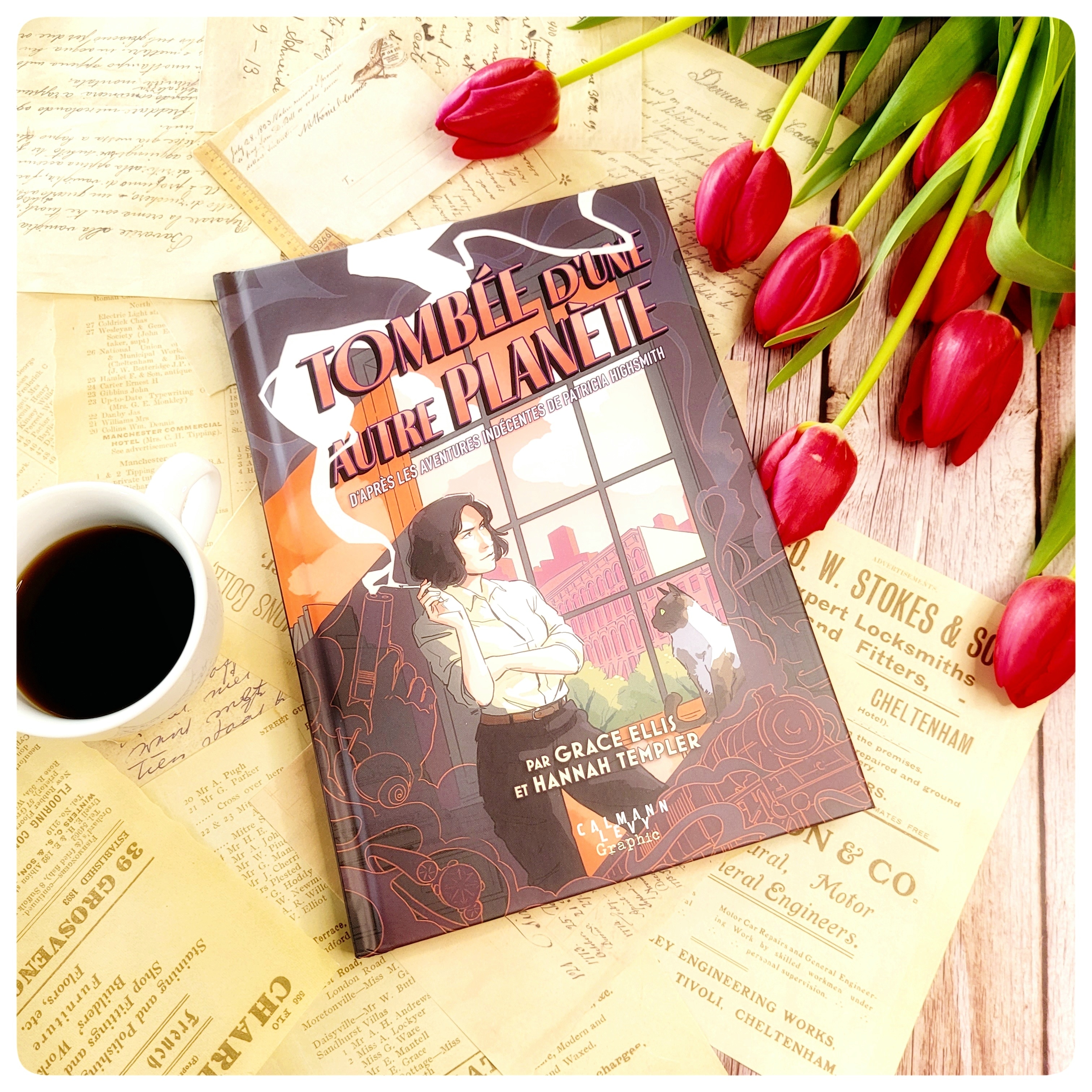 Tombée d’une autre planète Tombée d’une autre planète