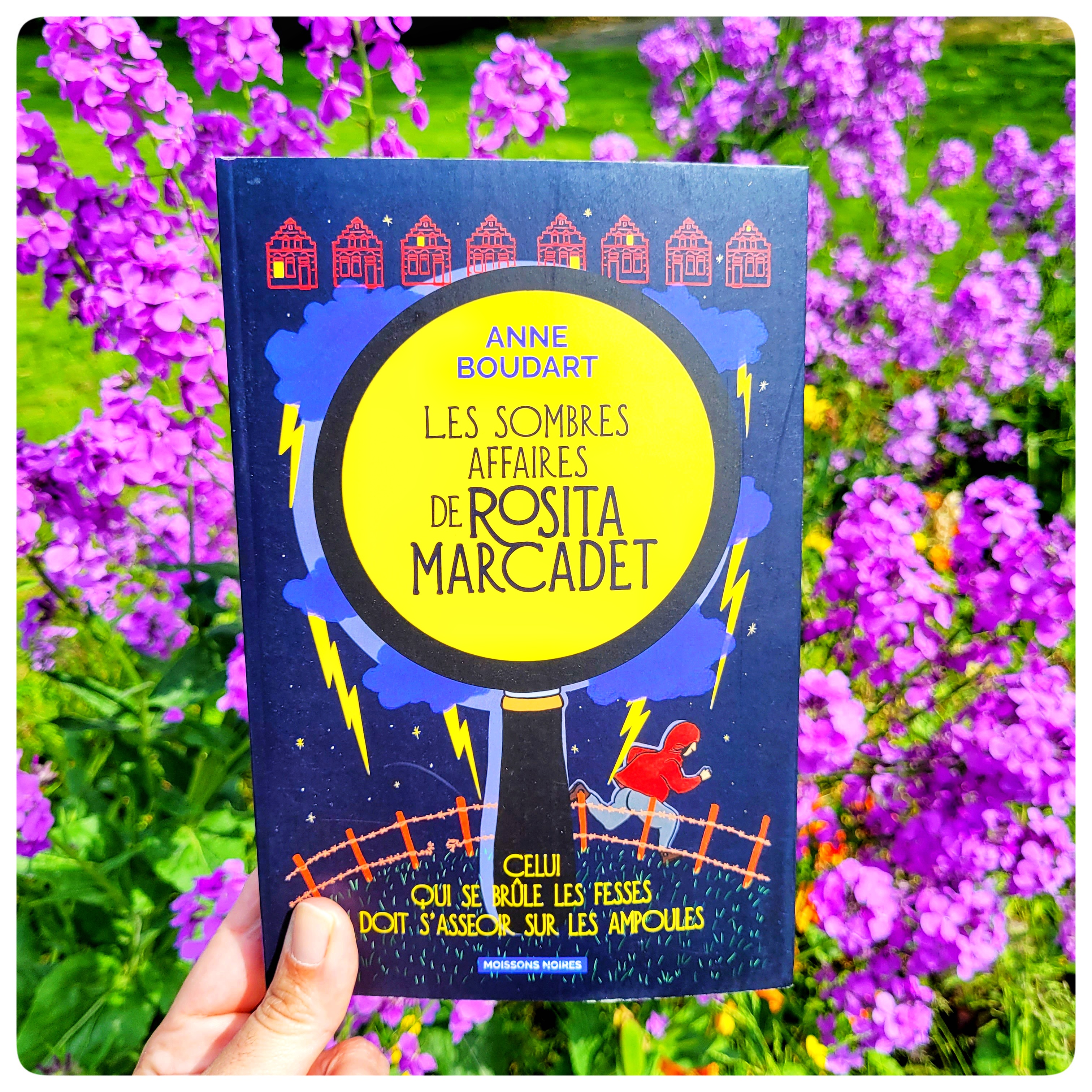 Ĺes sombres affaires de Rosita Marcadet Ĺes sombres affaires de Rosita Marcadet